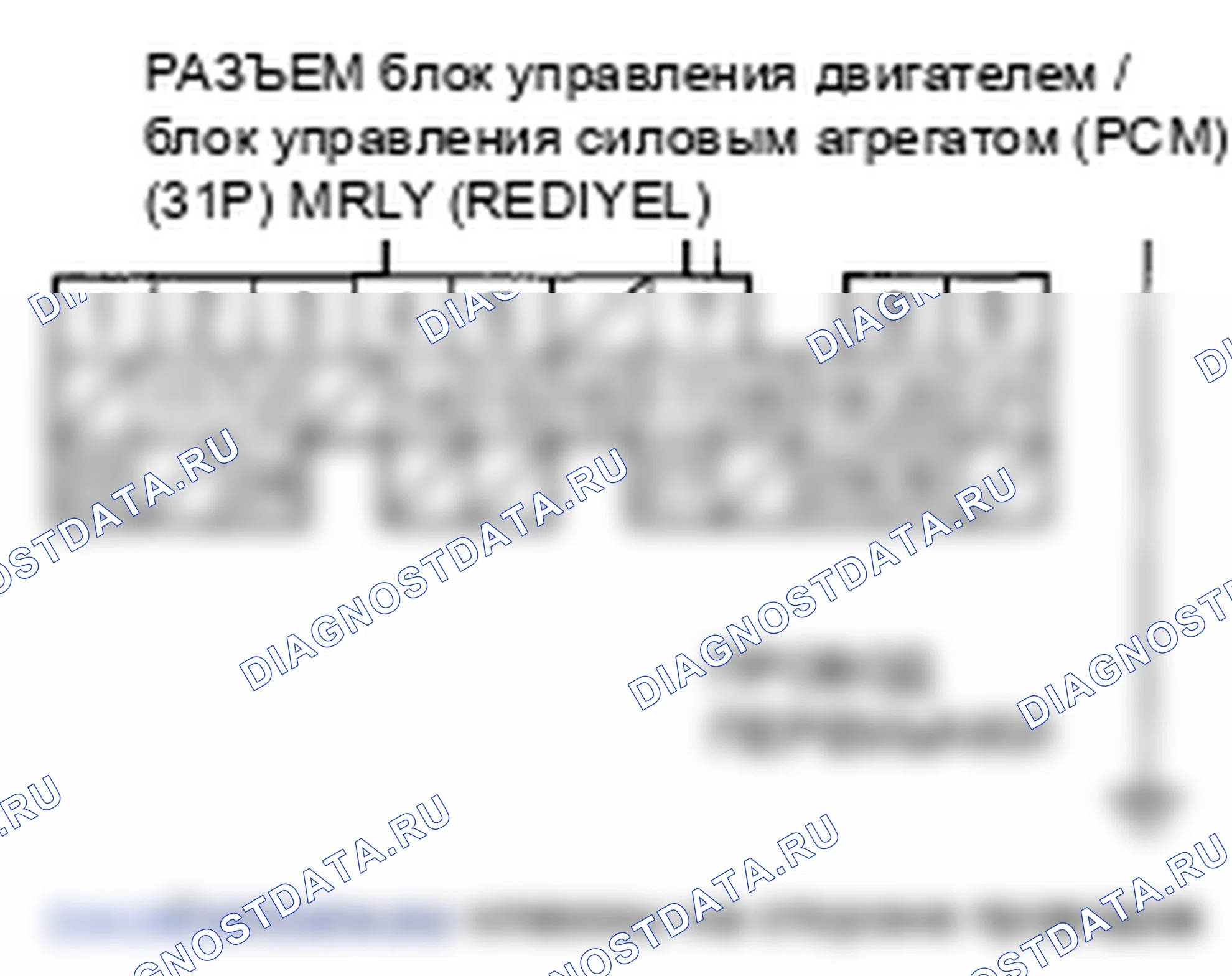Рис. 14. Honda Element YH2 рестайлинг 2