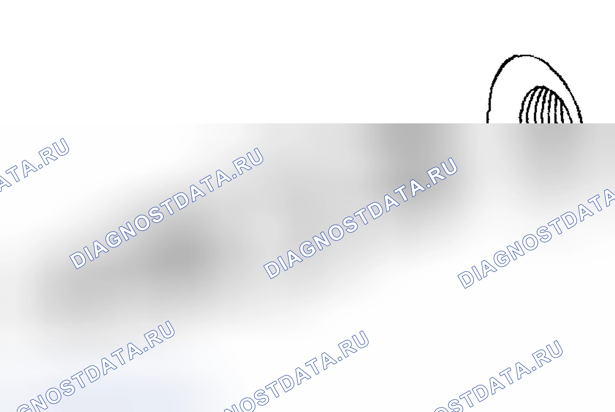 Рис. 235. Chevrolet TrailBlazer I