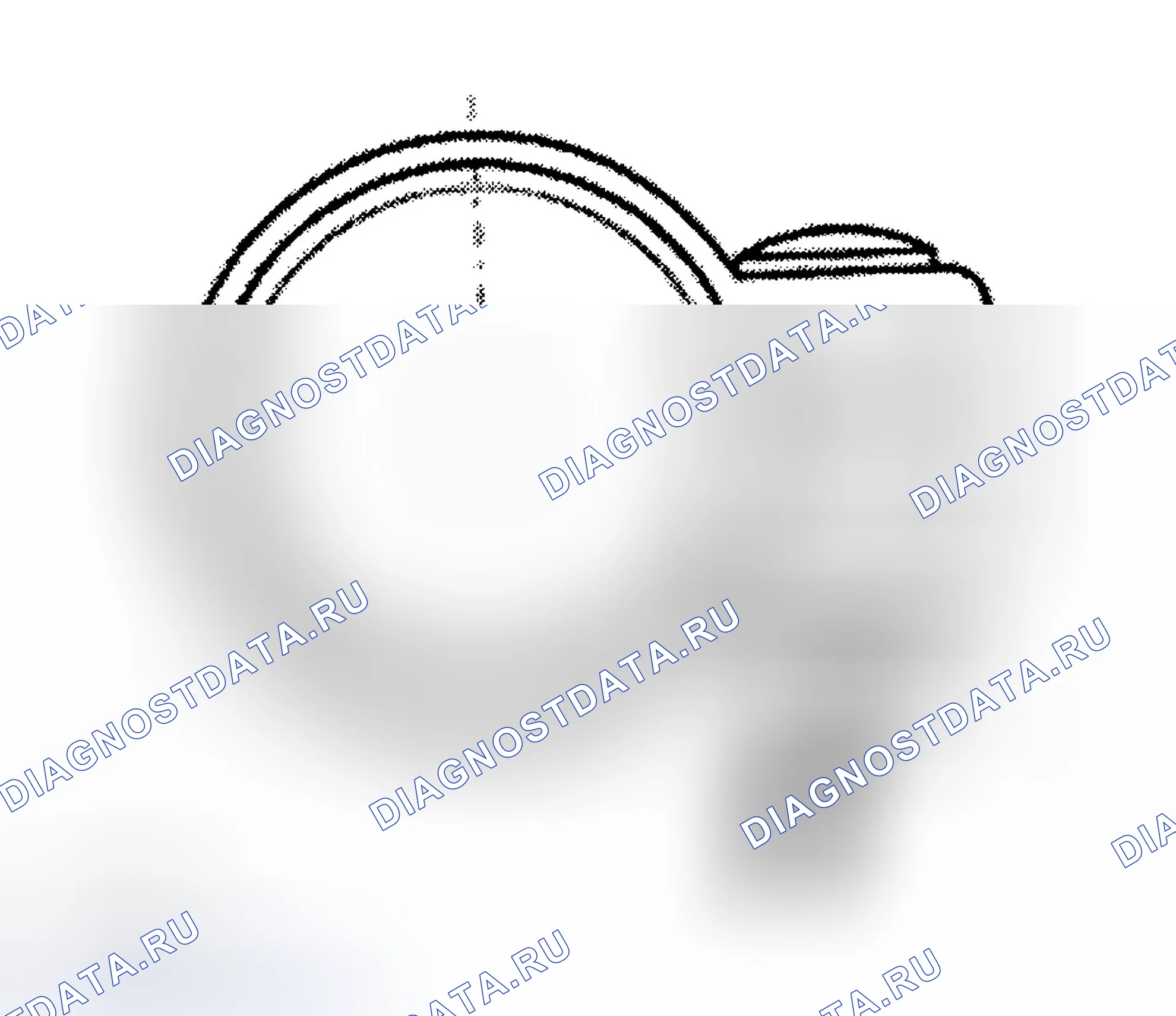 Рис. 47. Audi TT 8N