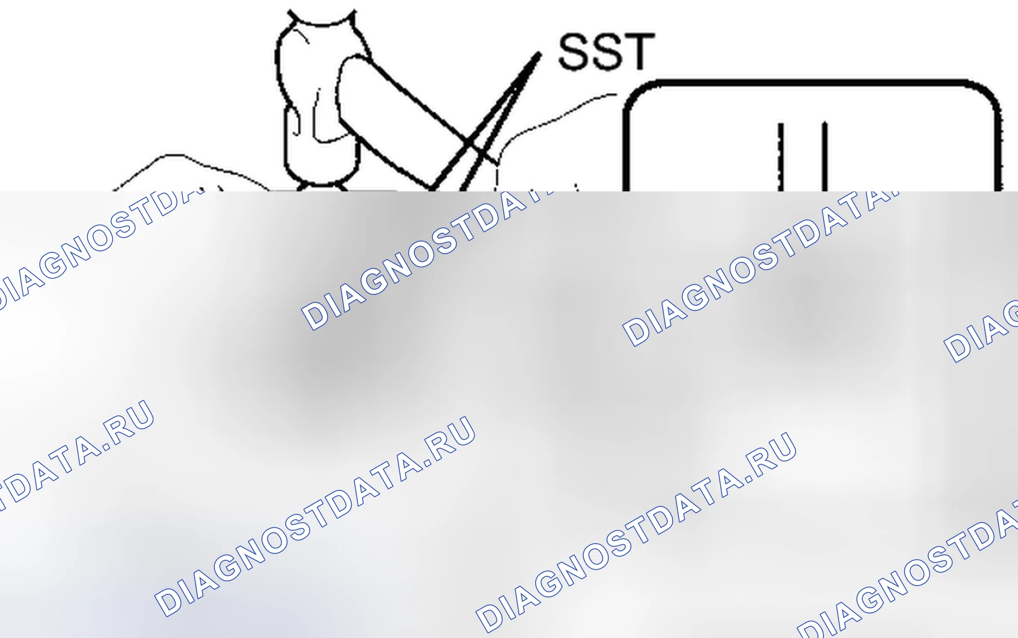 Рис. 1672. Toyota Tacoma II рестайлинг