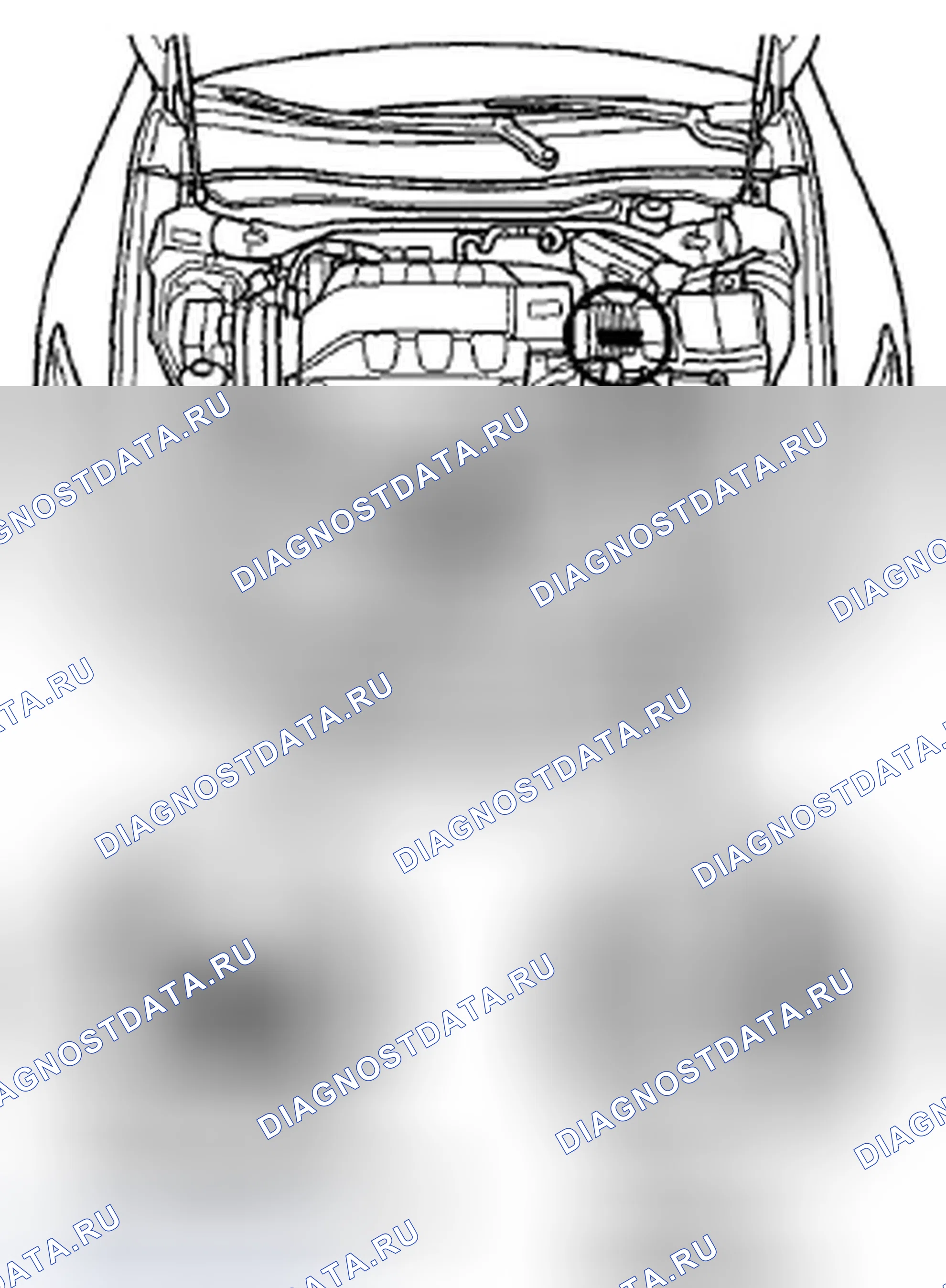 Рис. 26. Honda Crosstour I