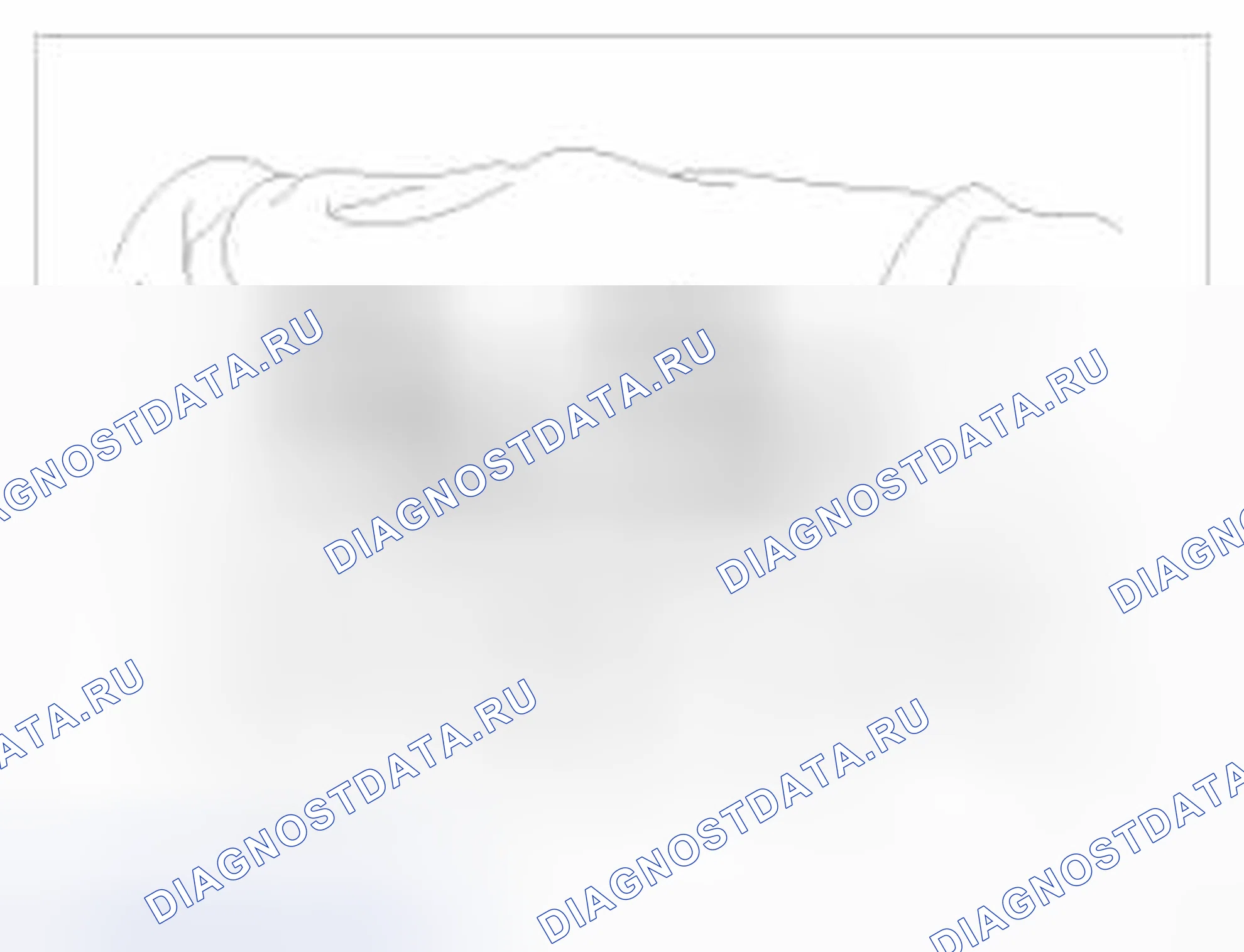 Рис. 14. BMW 6 серия F06/F13/F12