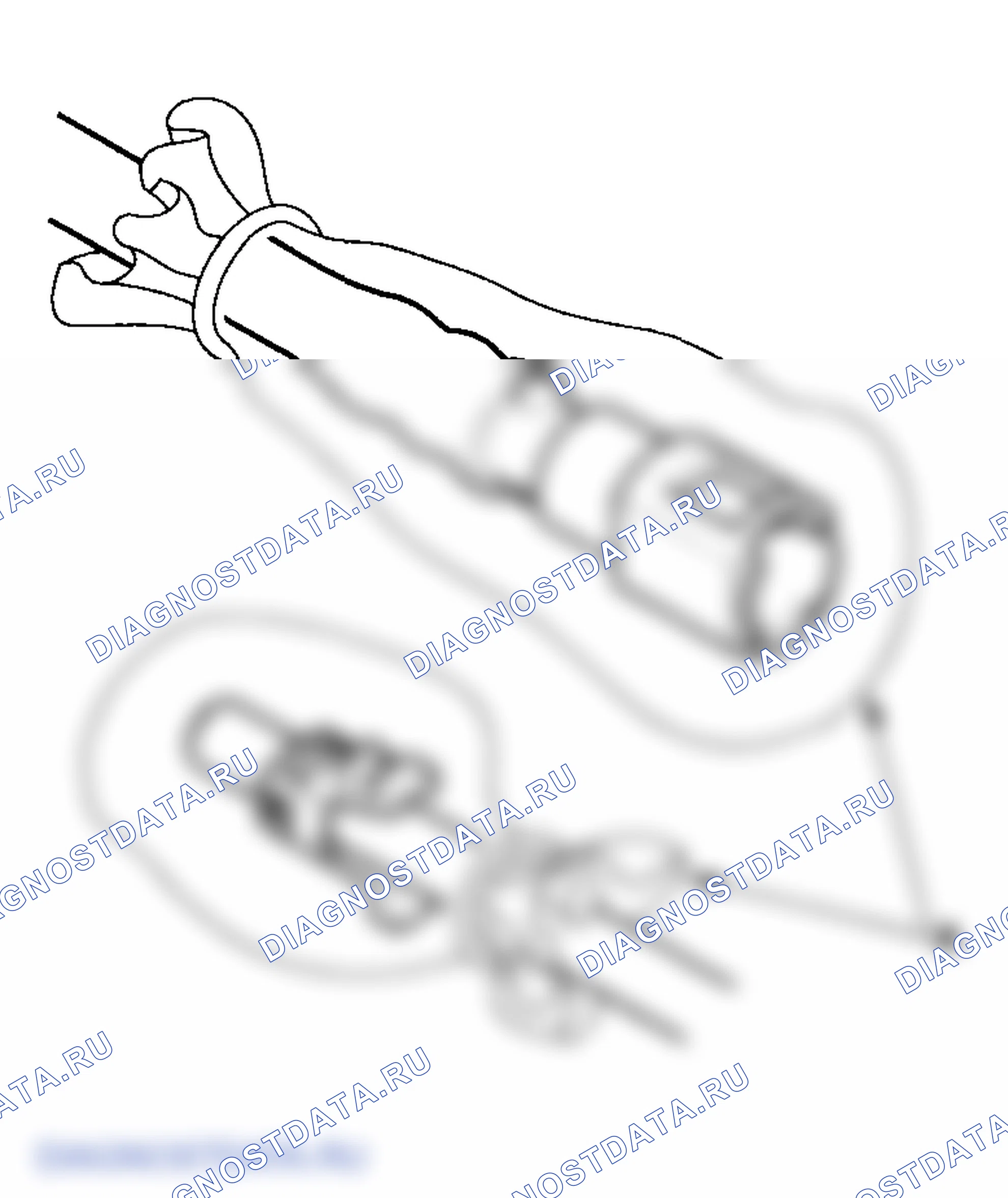 Рис. 24. Honda Element YH2