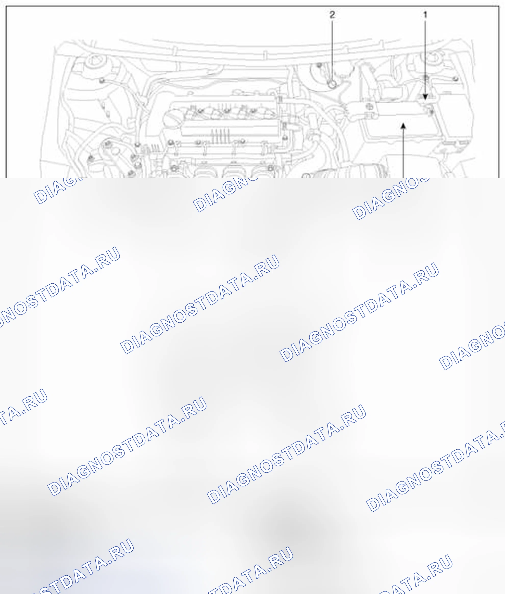 Рис. 37: Расположение компонентов. BMW 6 серия F06/F13/F12