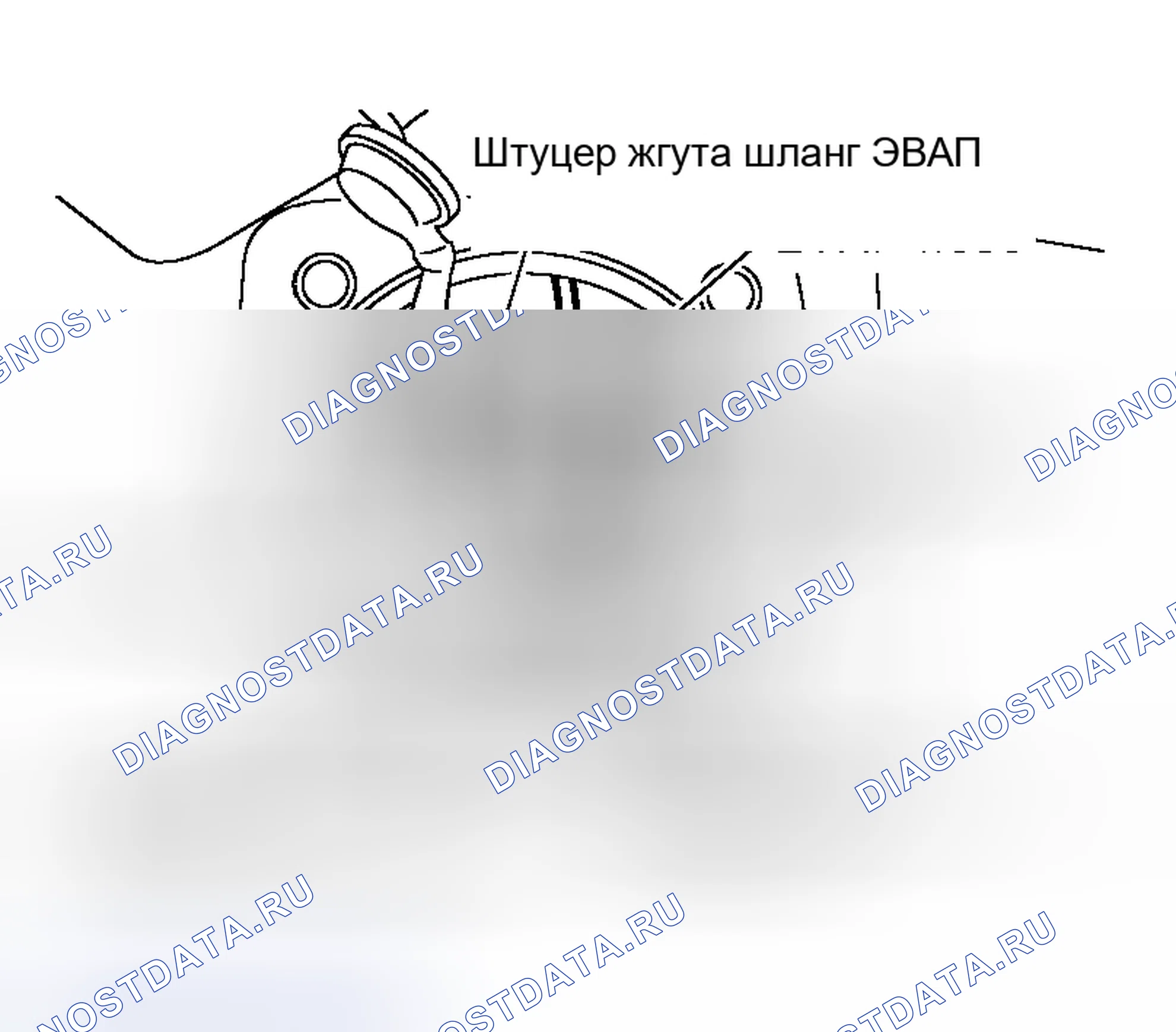 Рис. 4. Nissan Murano Z50