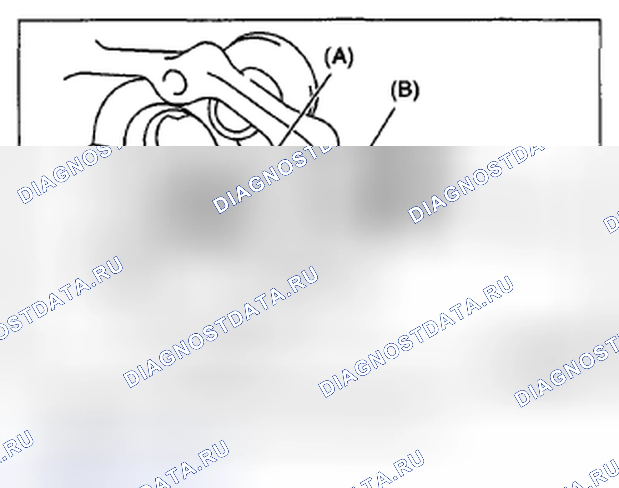 Рис. 64. Subaru Impreza GH
