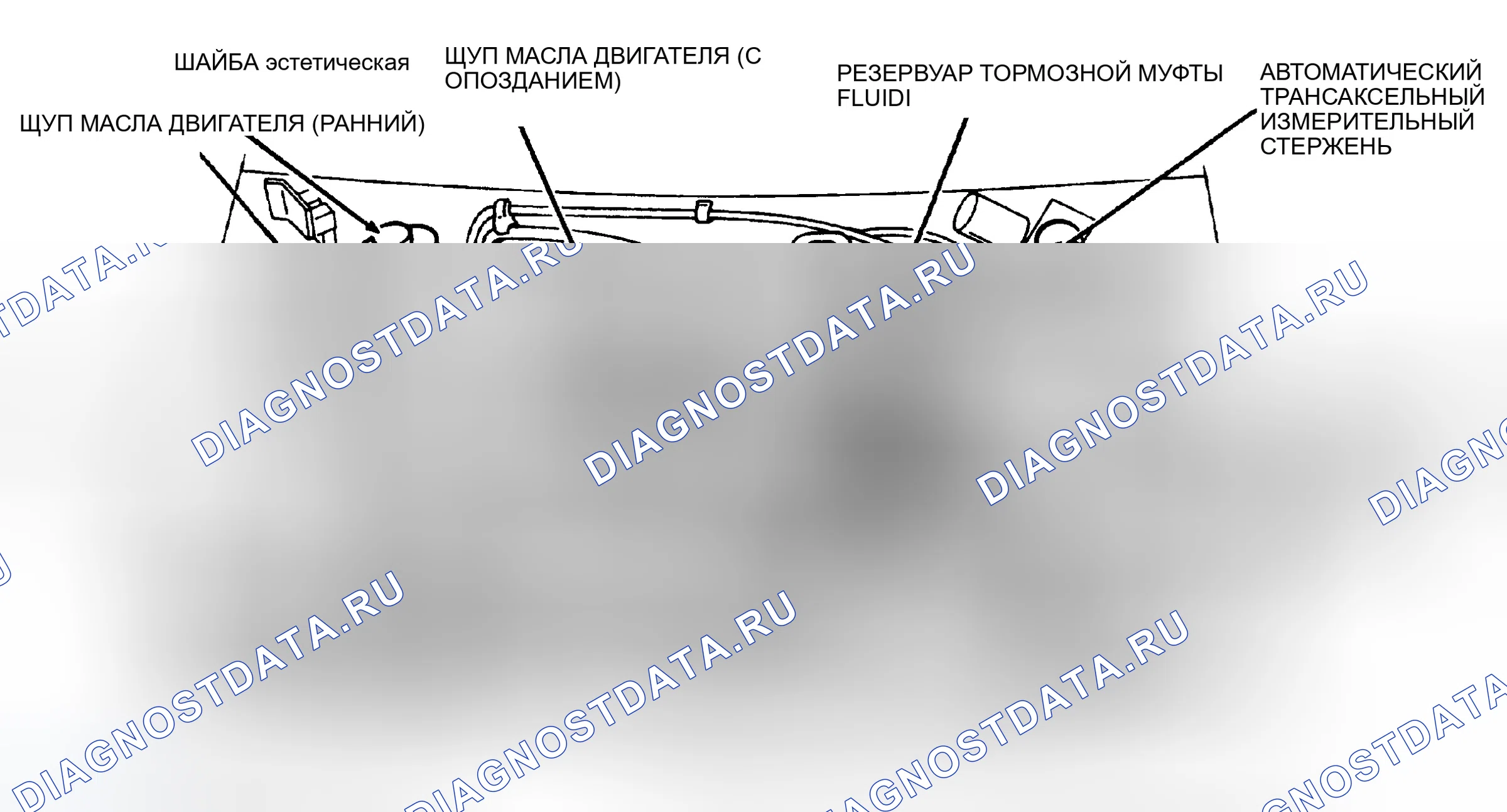 Рис. 6. Ford Escort V рестайлинг 2