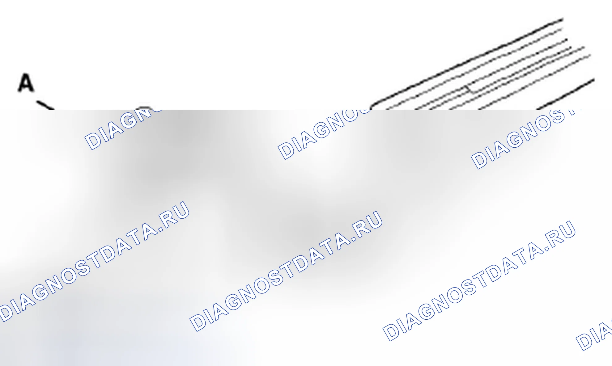 Рис. 307. Honda Accord VIII рестайлинг
