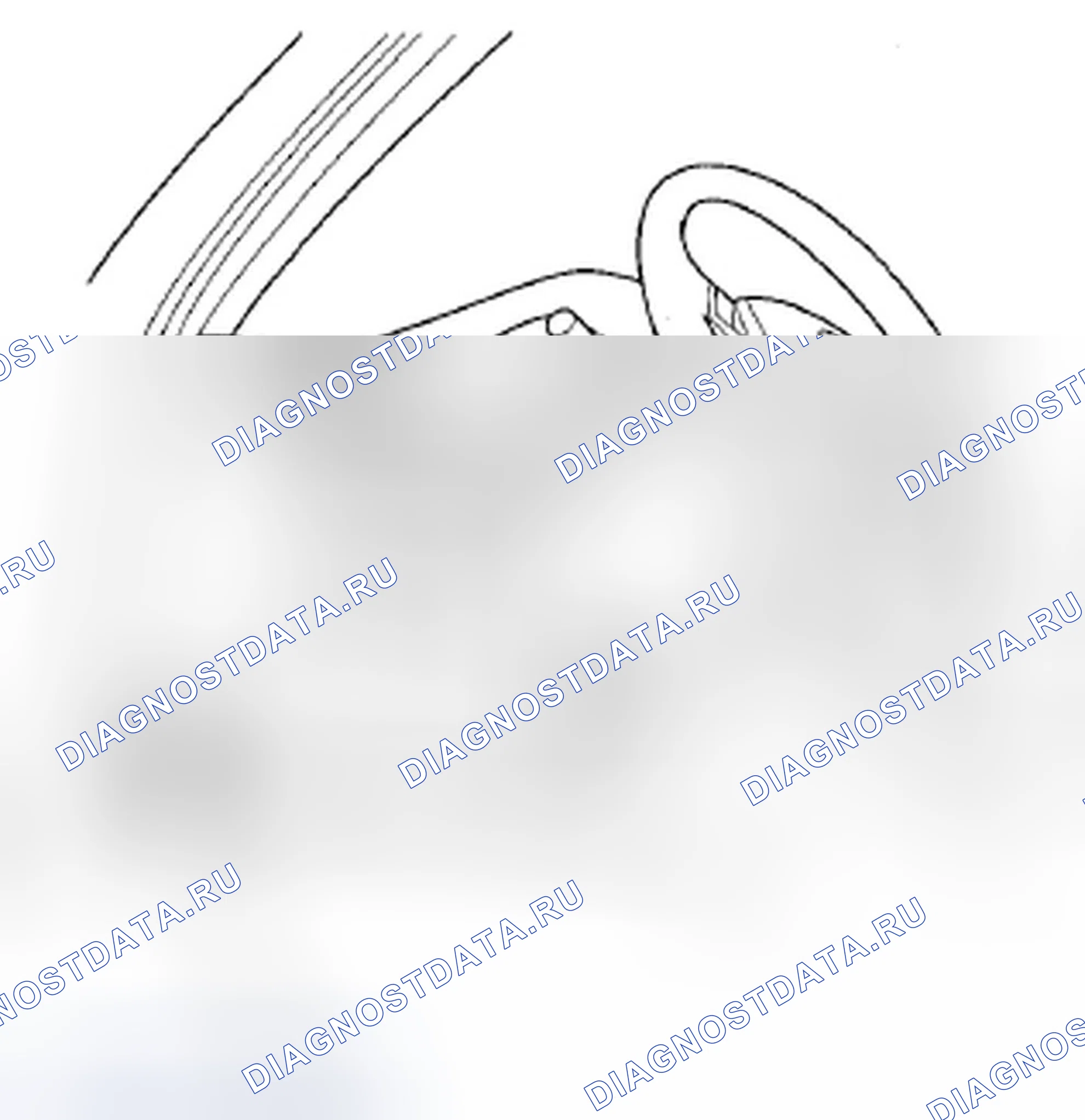 Рис. 1125: Как проверить расшифровка кода ошибки с помощью HDS. Acura TSX II