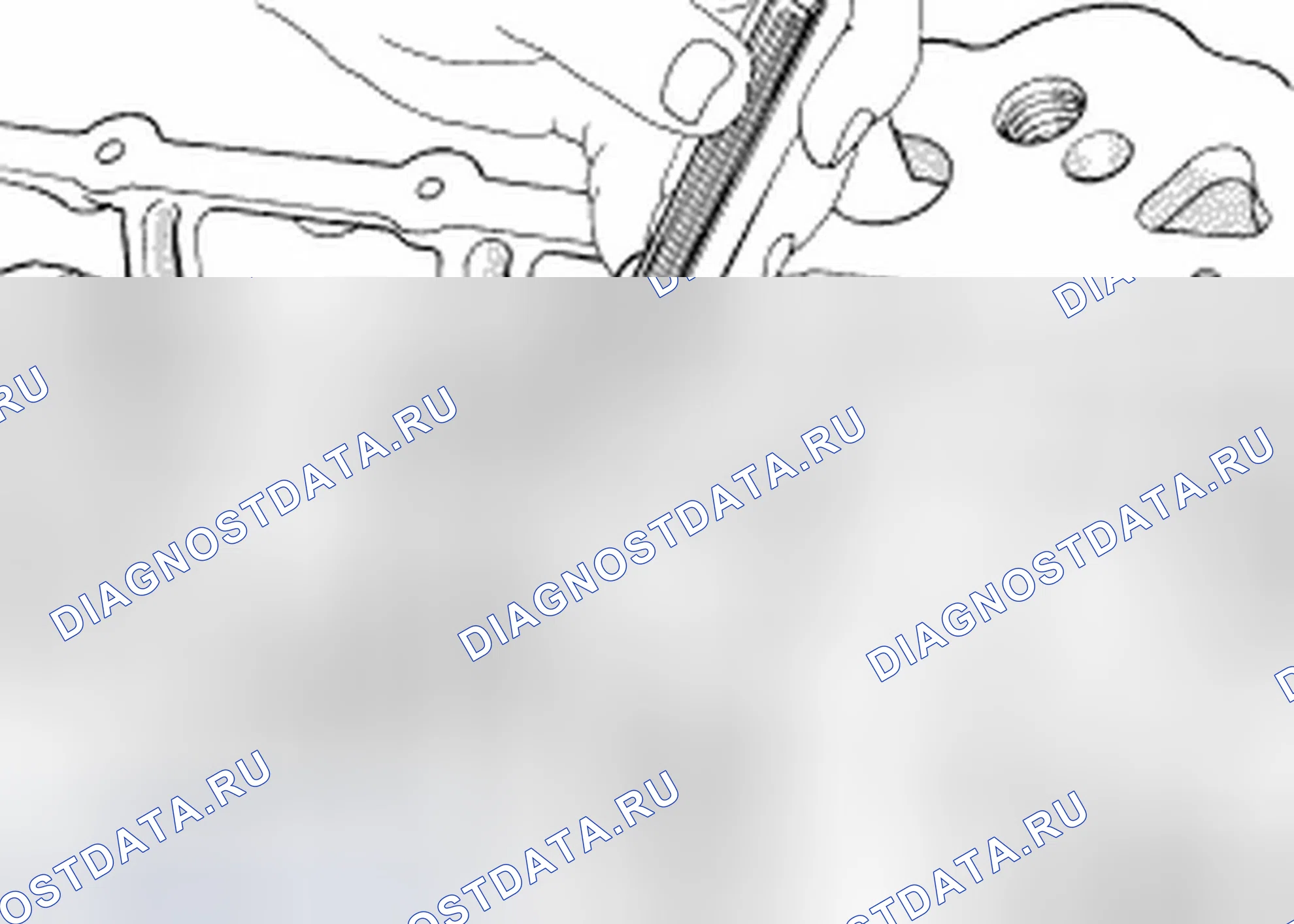 Рис. 204. Jeep Compass I