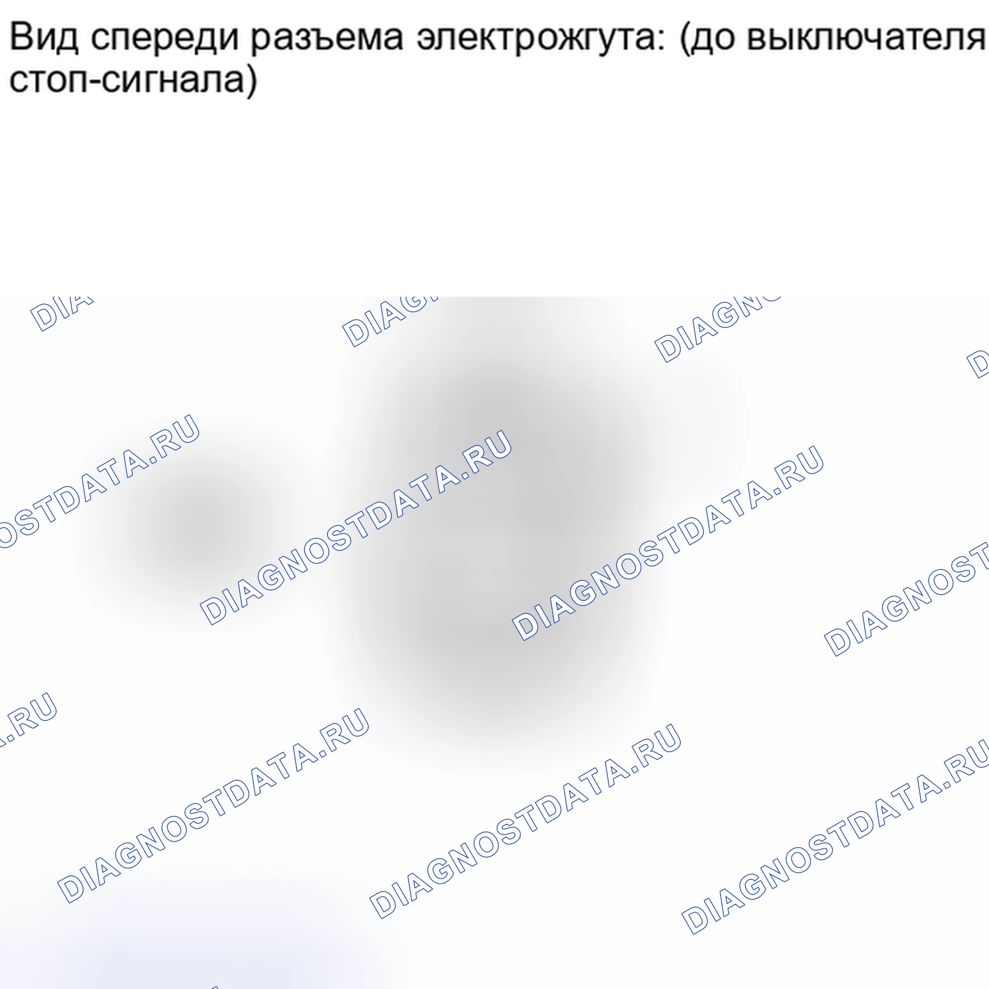 Рис. 407. Lexus IS F I