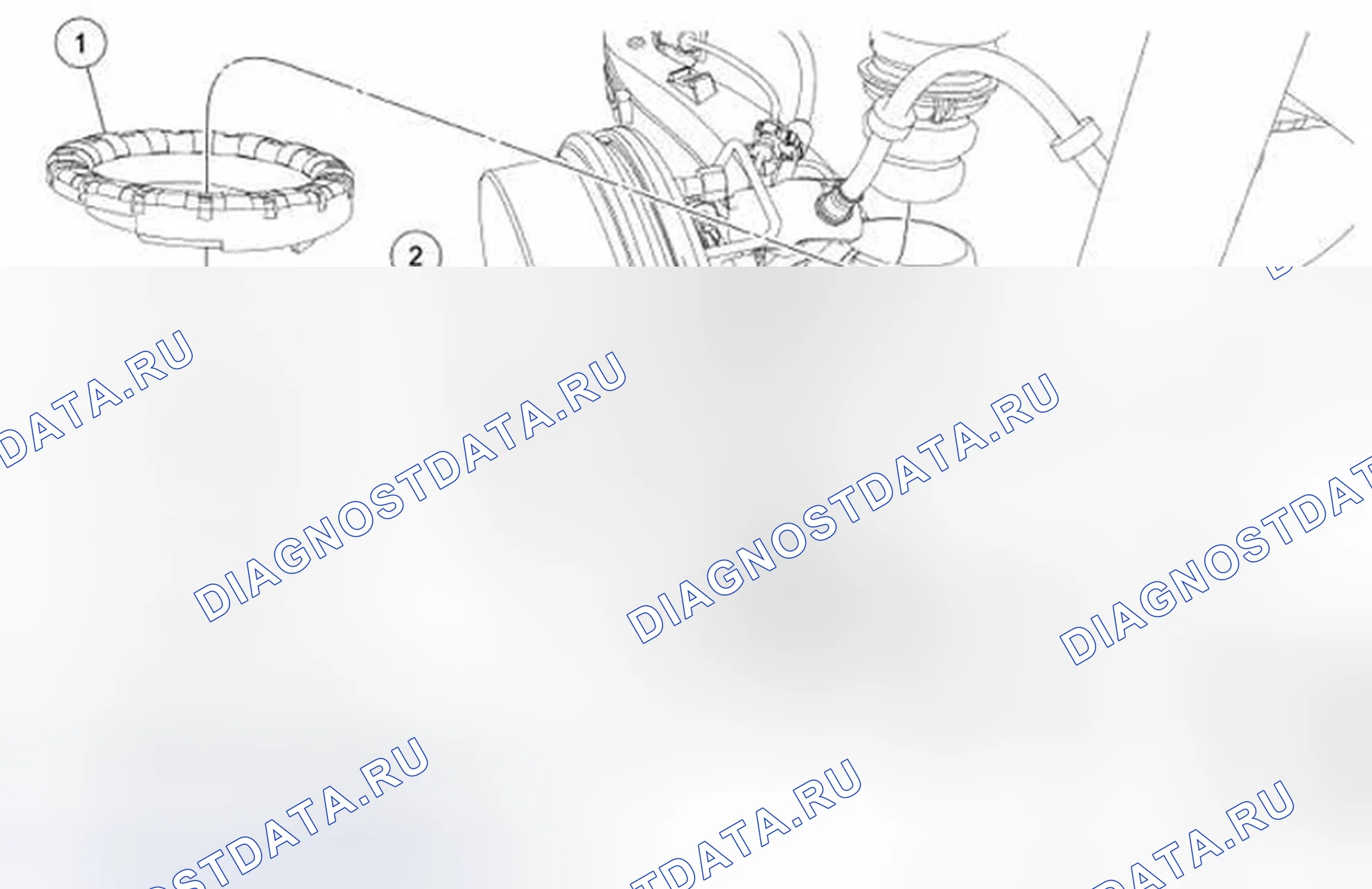 Рис. 10: Пружина. Ford Escape I рестайлинг 2