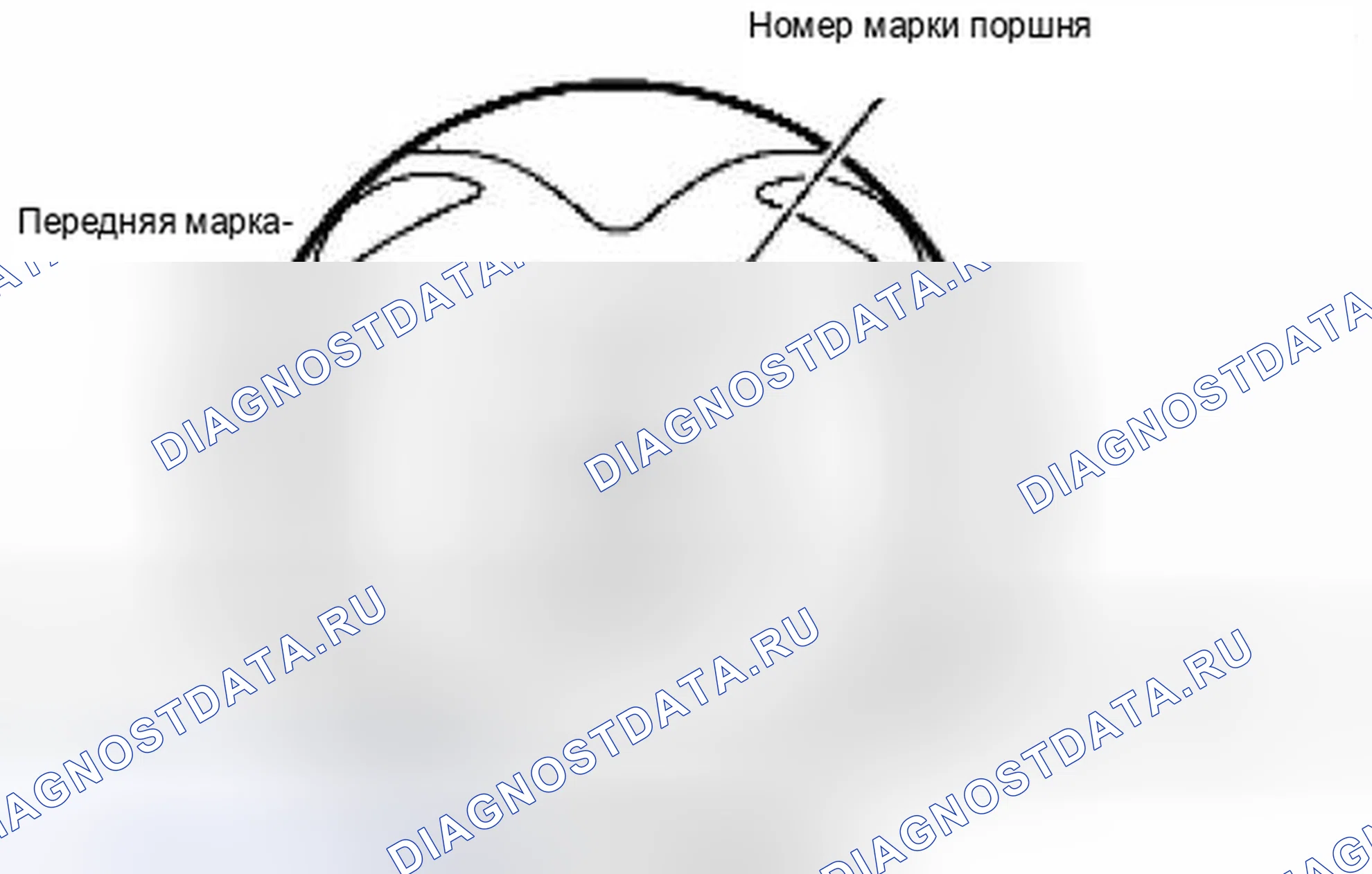 Рис. 166. Suzuki Equator I