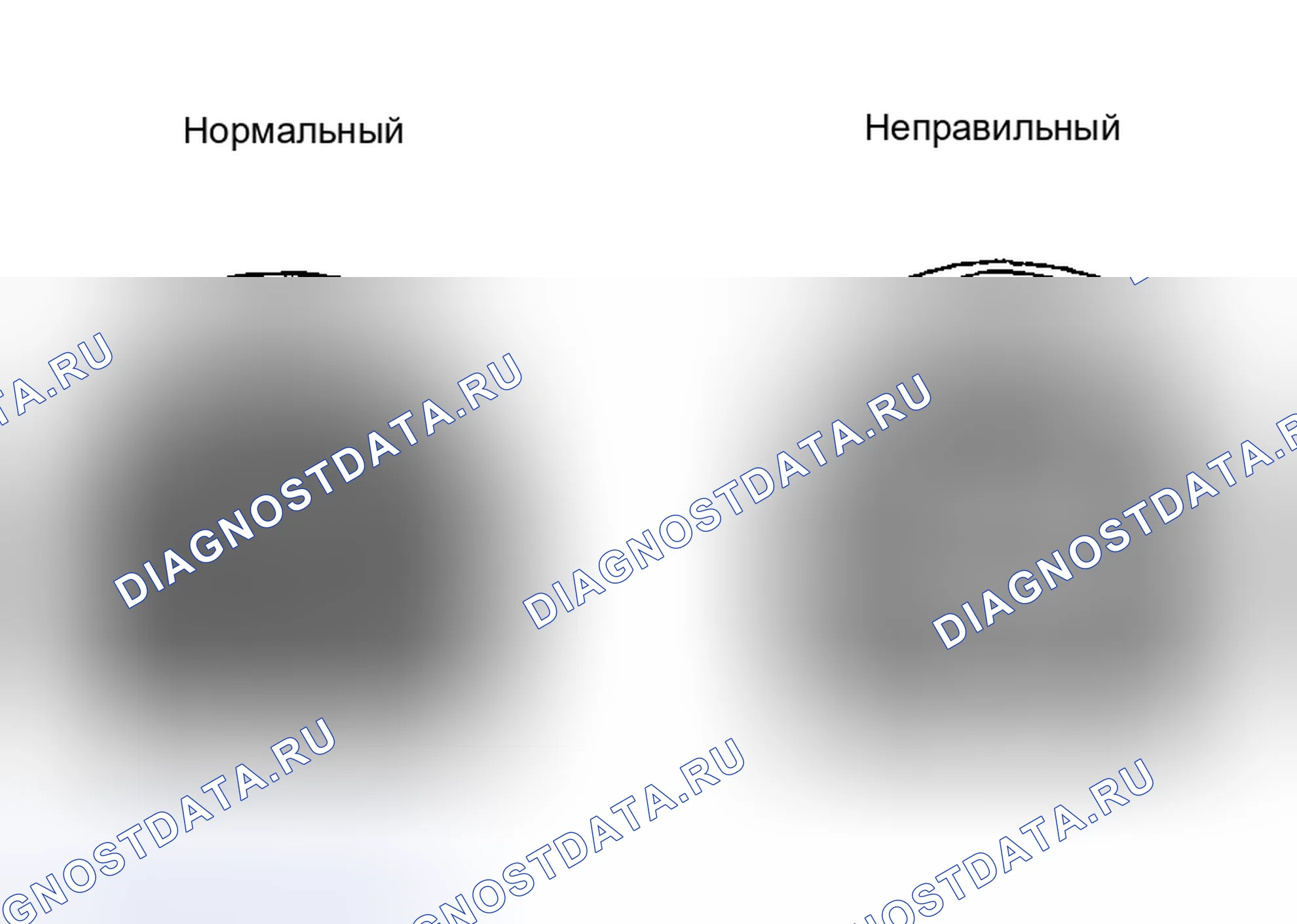 Рис. 4. Toyota Highlander I рестайлинг