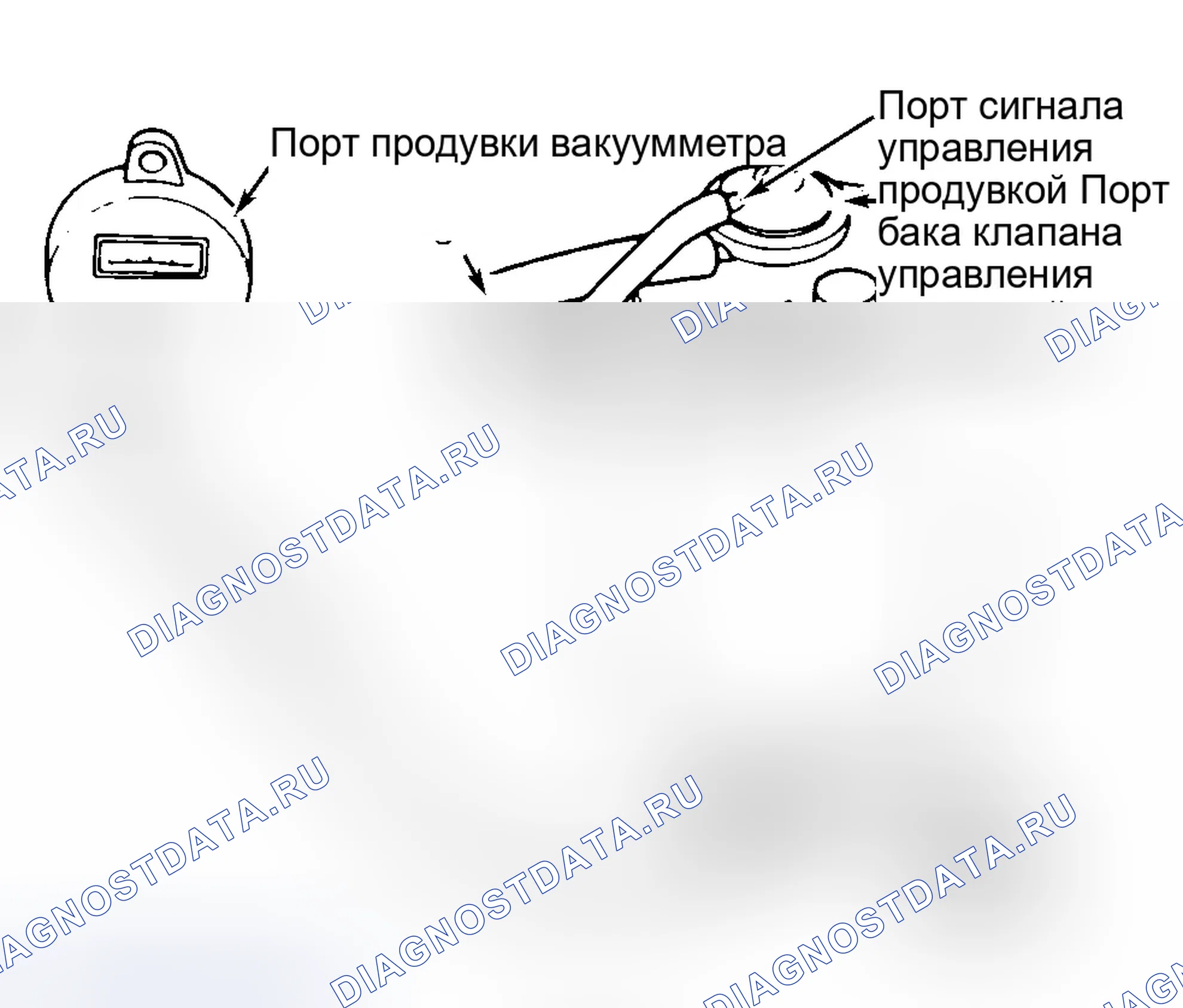 Рис. 125: Канистра EVAP. Honda Accord V