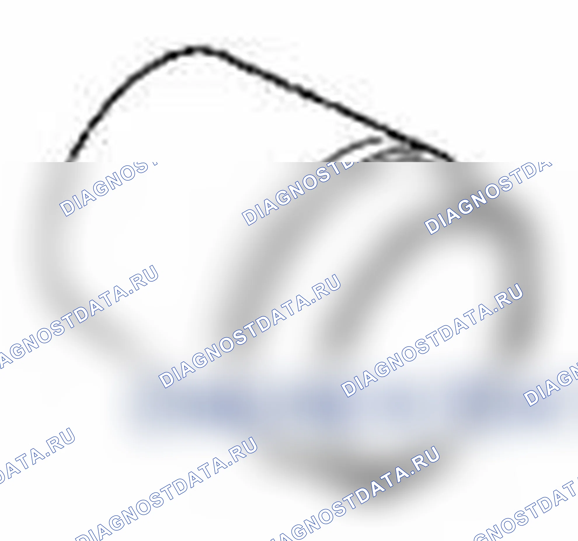 Рис. 435. Suzuki Grand Vitara II рестайлинг