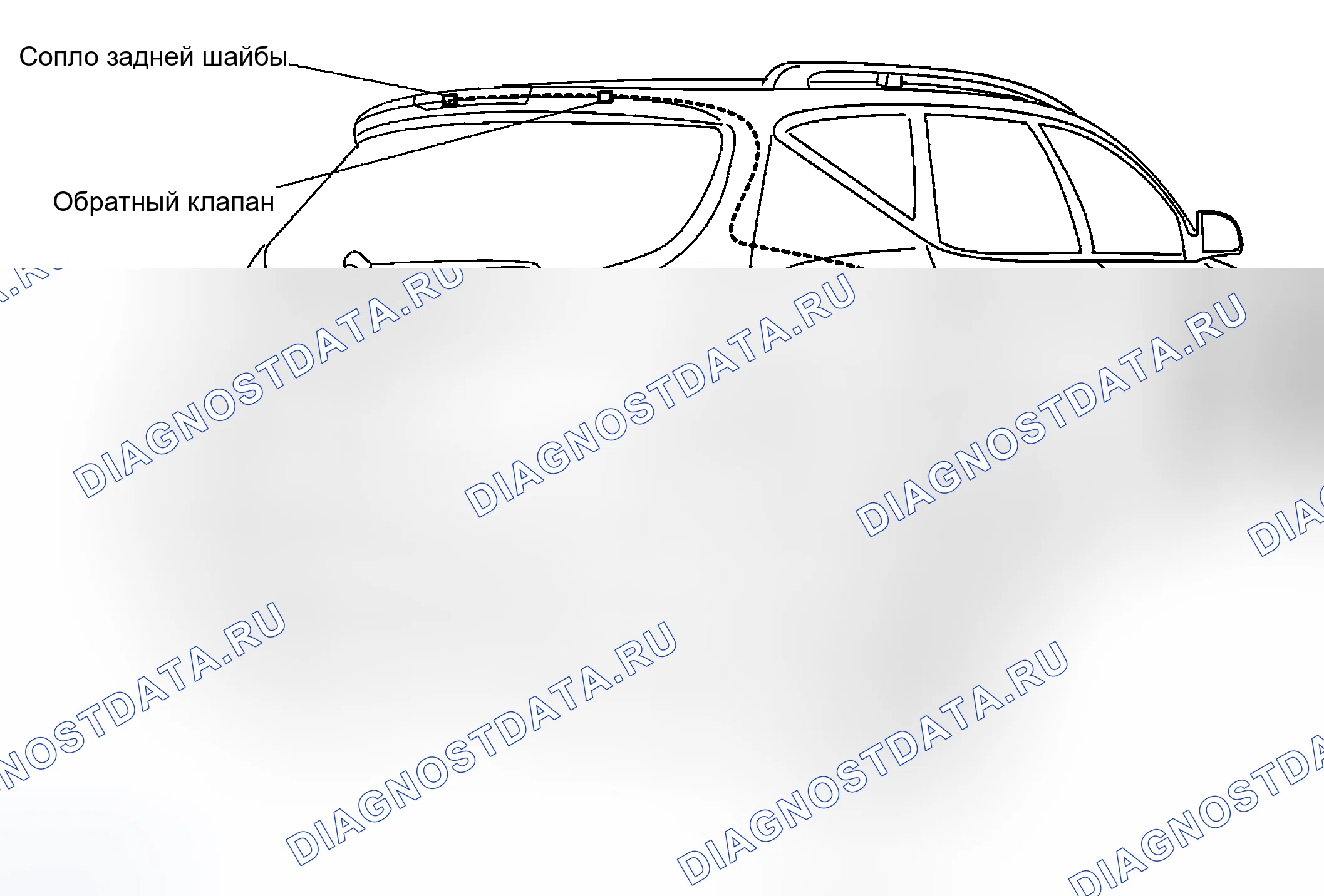 Рис. 30: Схема расположения трубок омывателя. Nissan Murano Z50