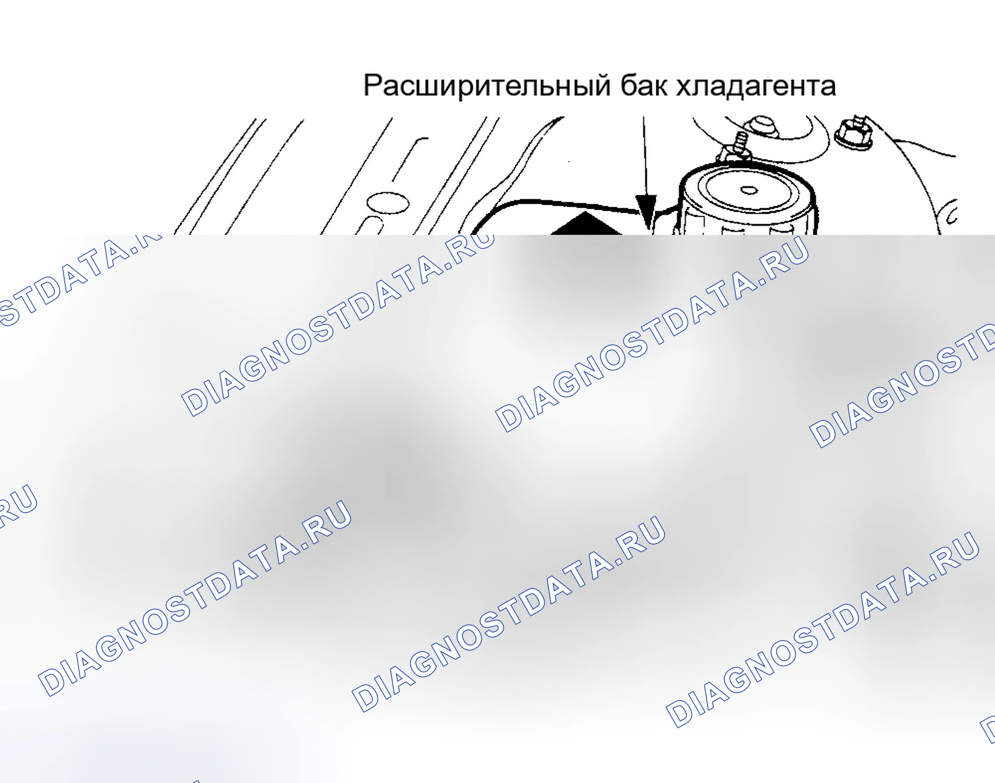 Рис. 65. Ford Focus I рестайлинг