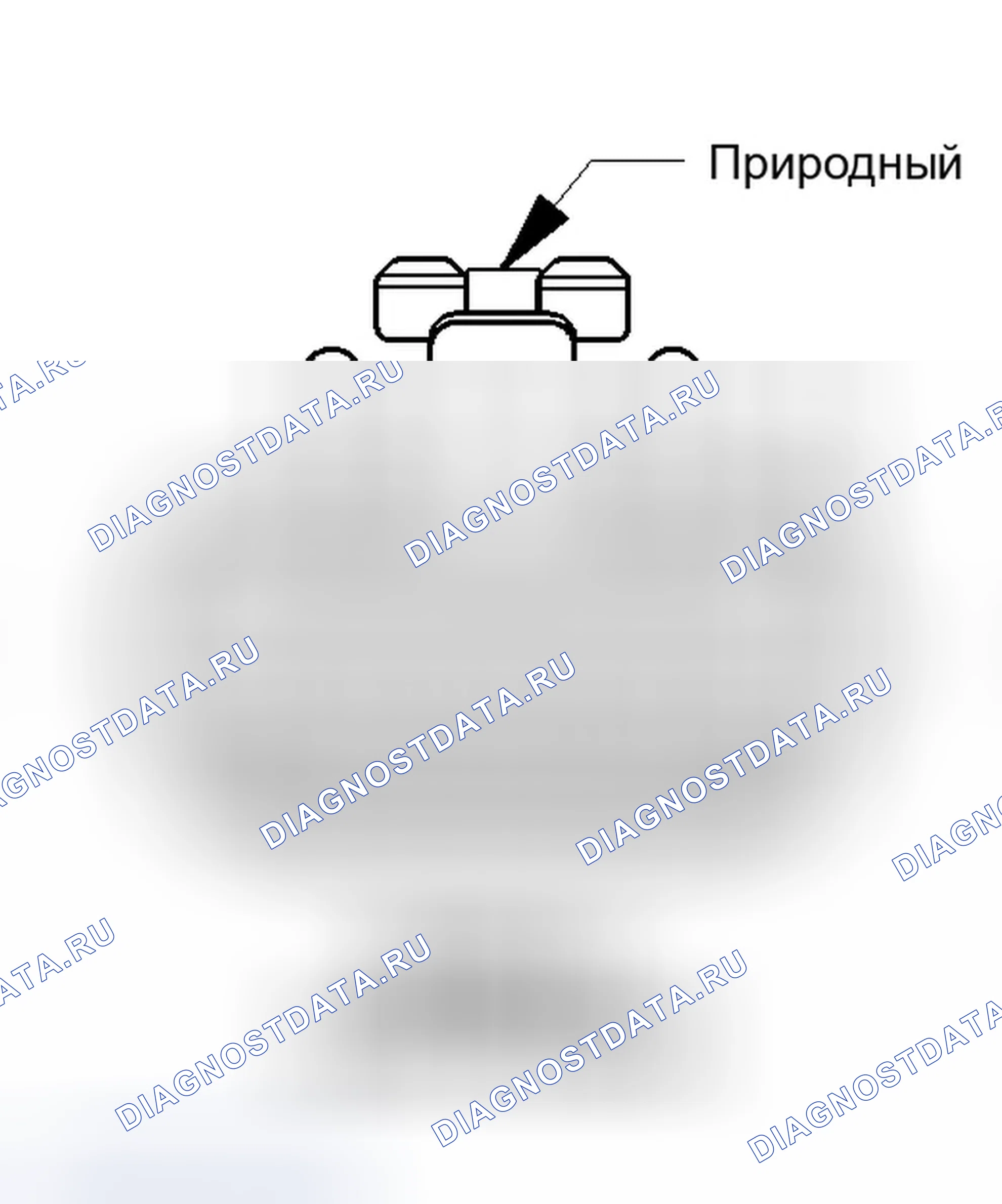 Рис. 91: Вид с торца разъема аналогового модуля синхронизации. Dodge Magnum I