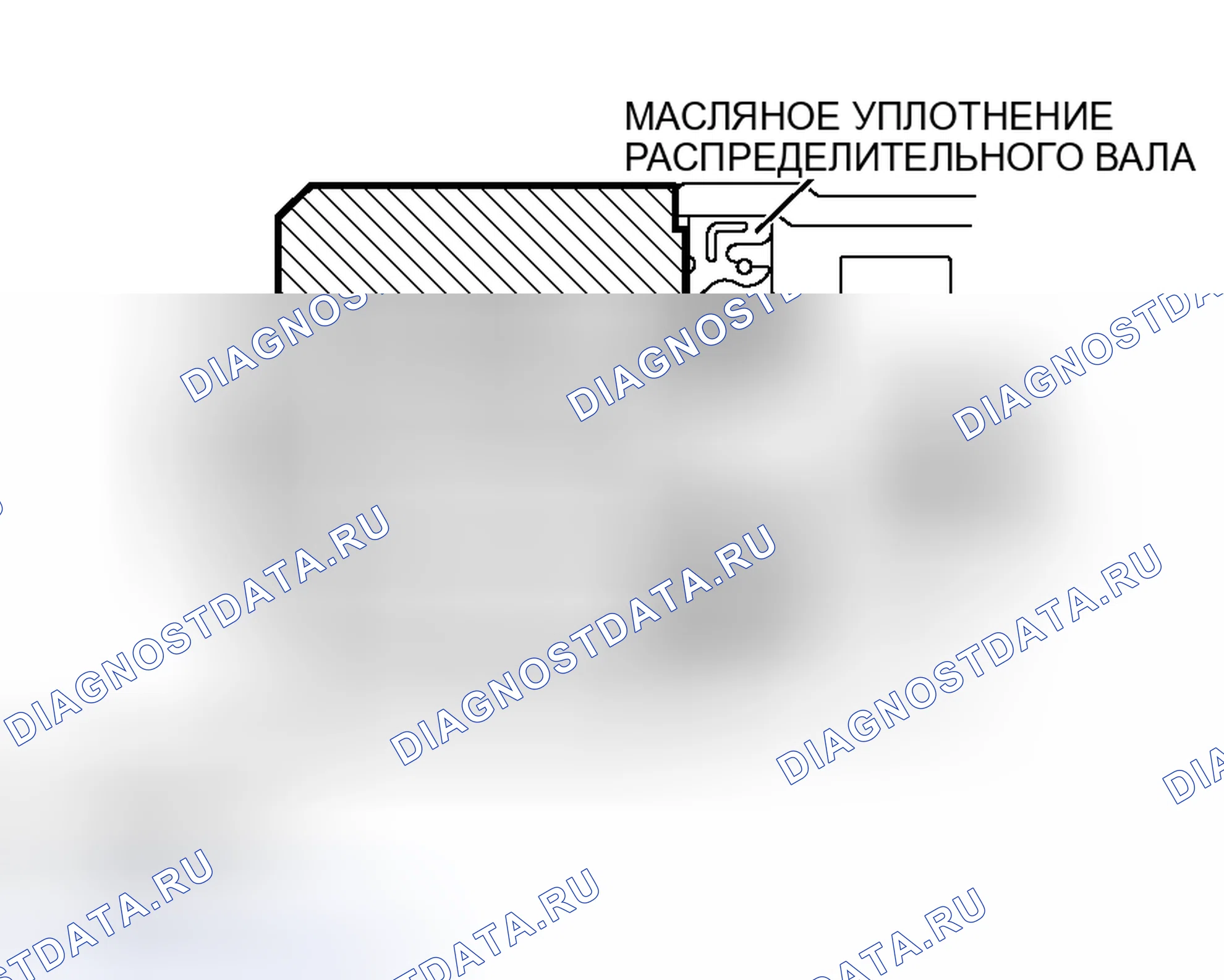 Рис. 55: > > МОНТАЖ МАСЛЯНОГО УПЛОТНЕНИЯ РАСПРЕДЕЛИТЕЛЬНОГО ВАЛА < <. Mitsubishi Outlander I