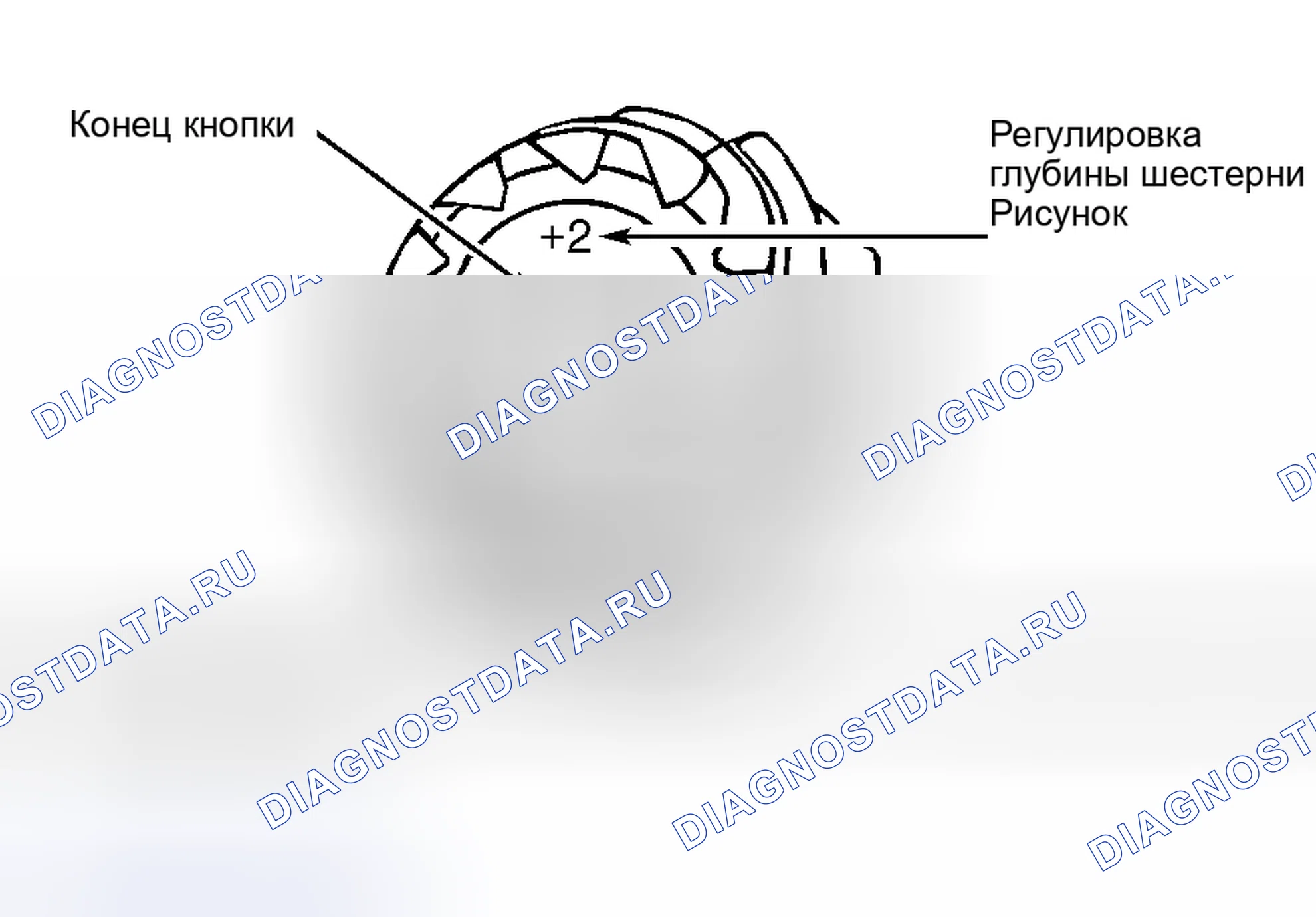 Рис. 20: Повторная сборка и регулировка. Ford Pickup F250 