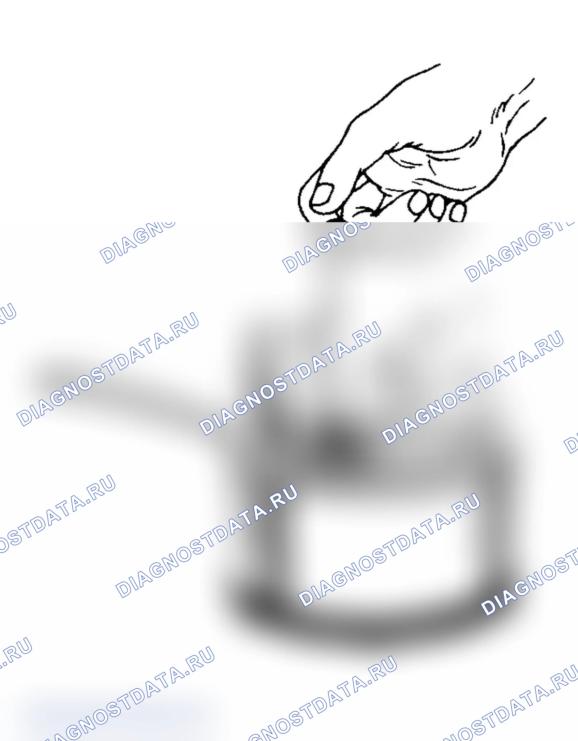 Рис. 9. Volkswagen Fox G1