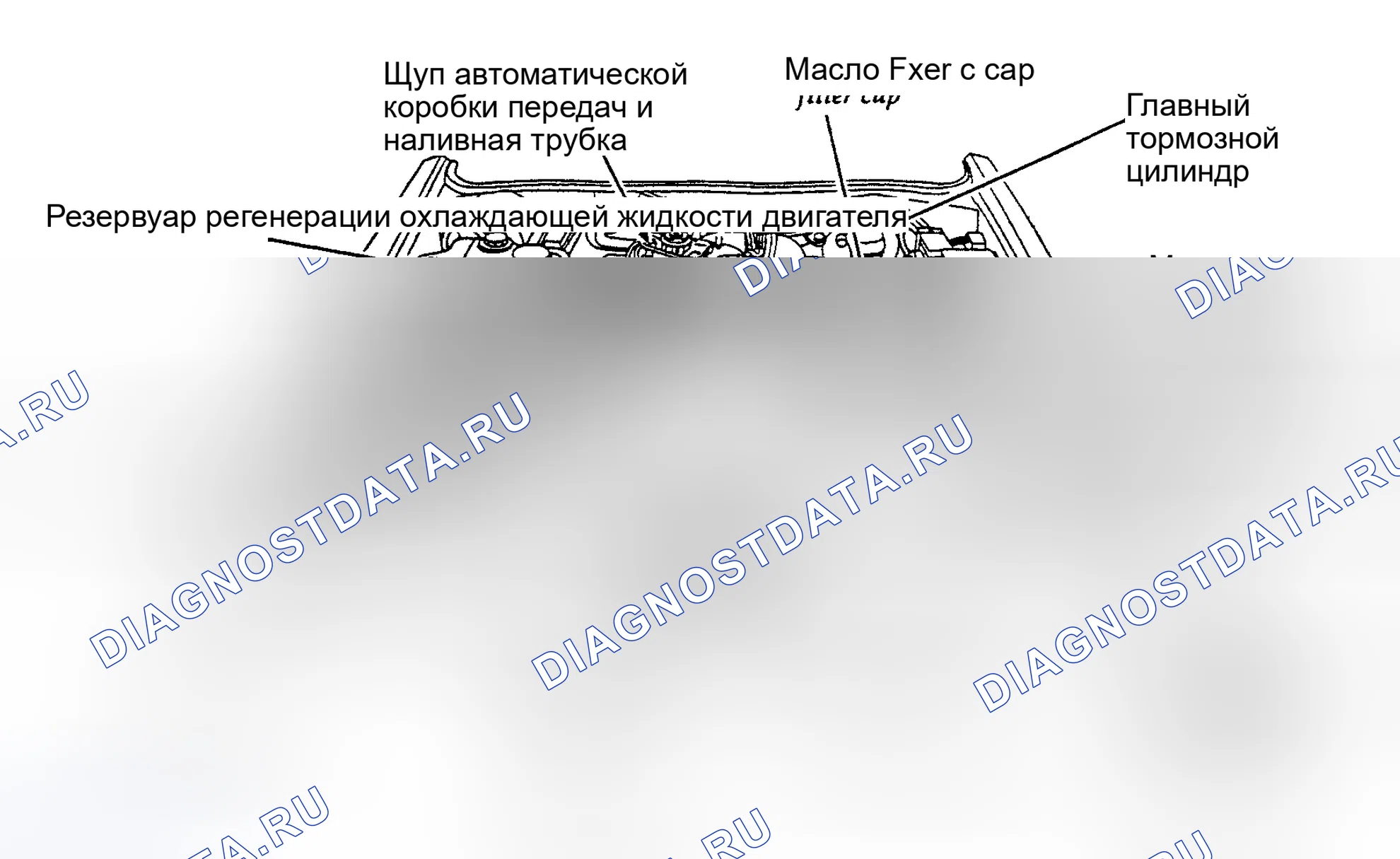 Рис. 5: РАСПОЛОЖЕНИЕ ТОЧЕК ОБСЛУЖИВАНИЯ. Mercury Grand Marquis III