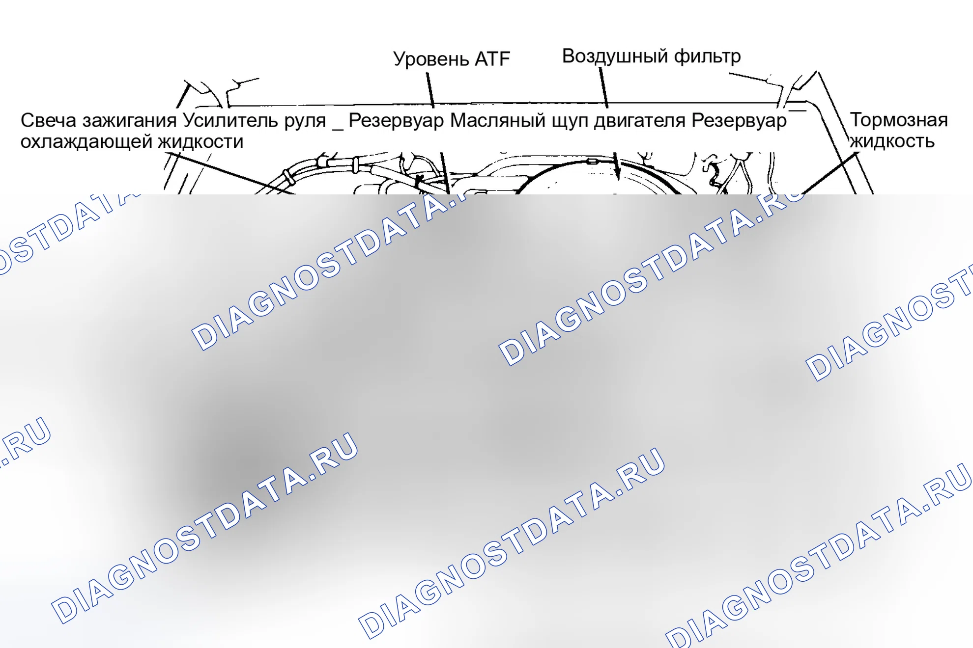 Рис. 5: РАСПОЛОЖЕНИЕ ТОЧЕК ОБСЛУЖИВАНИЯ. Dodge Ram I