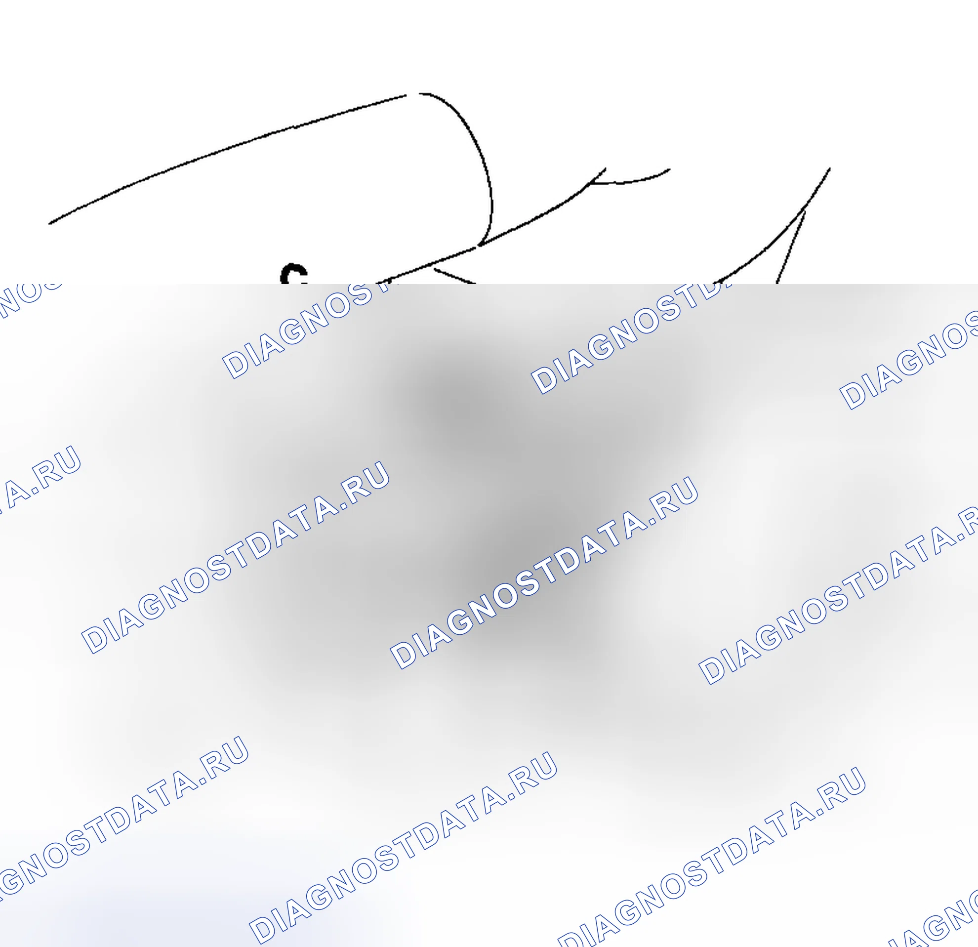 Рис. 111. Haval Chitu I