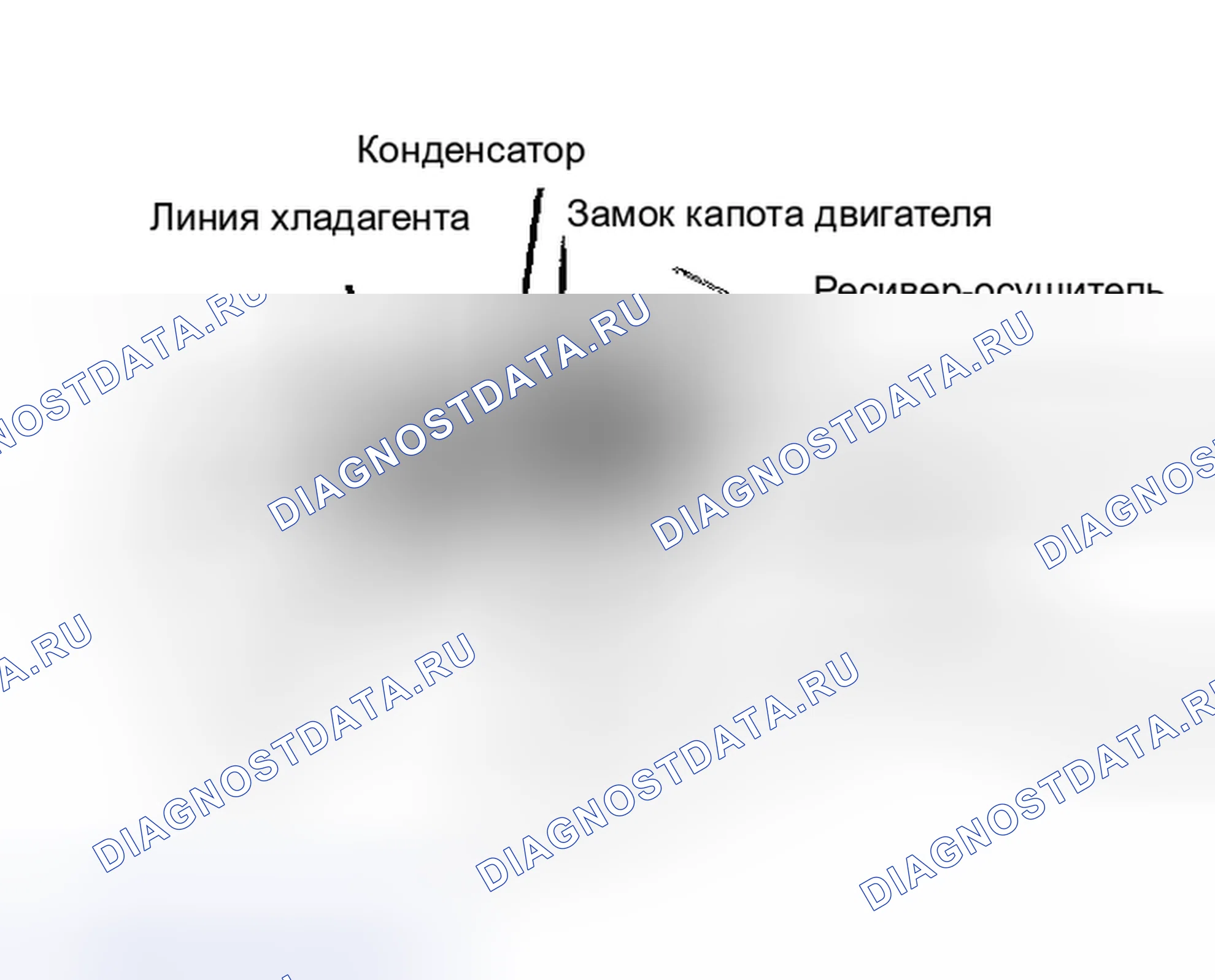 Рис. 4. Isuzu Amigo I