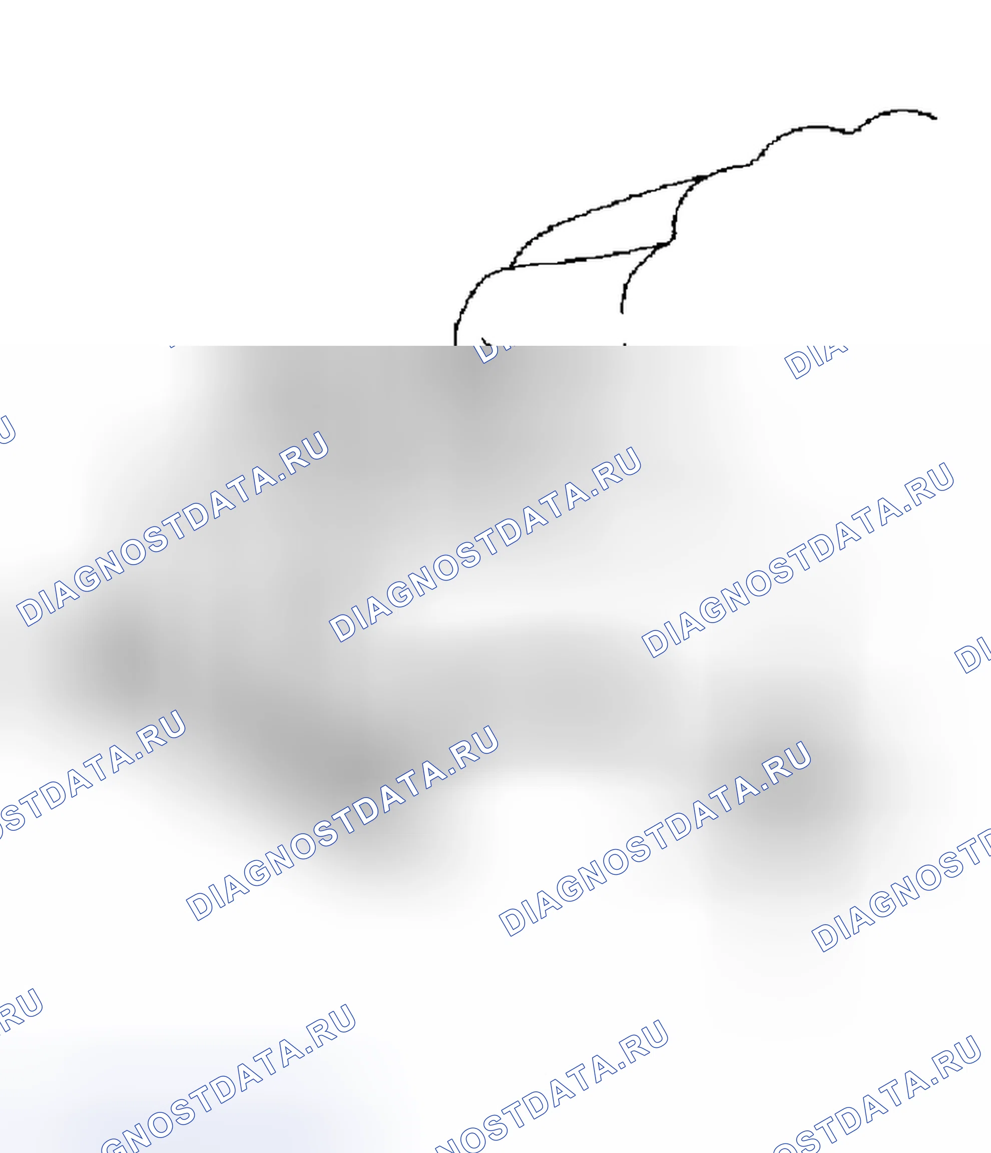 Рис. 495. Toyota 4Runner IV