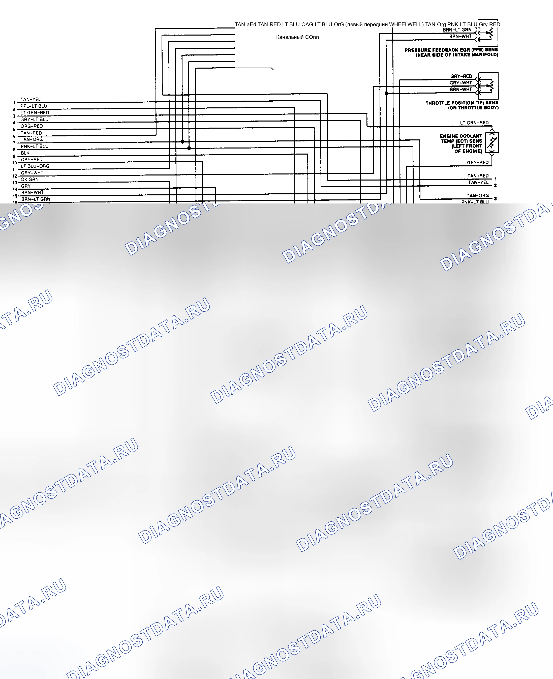 Рис. 139: электросхема EEC-IV (Crown Victoria/Grand Marquis 2 из 3). Ford Taurus II