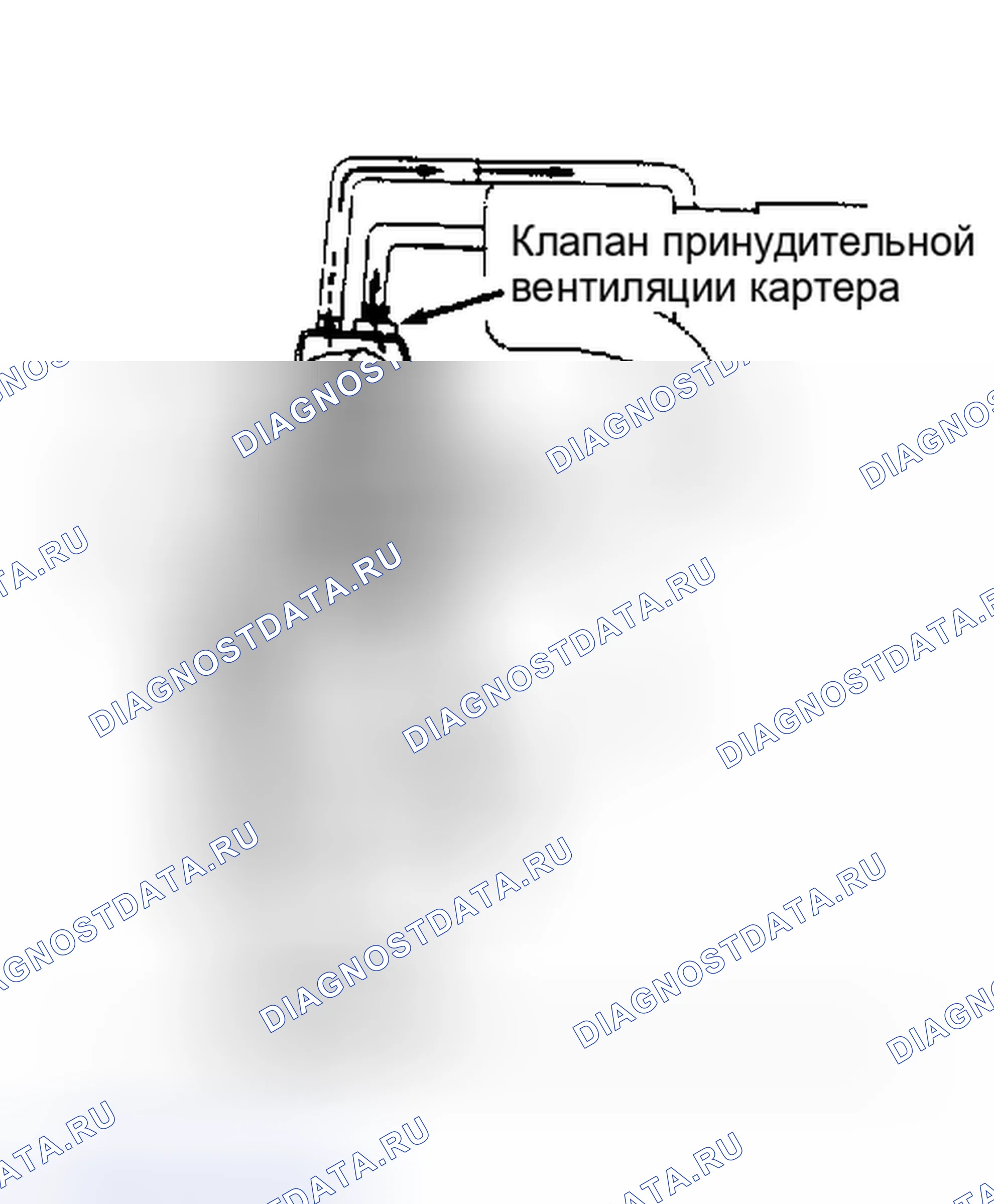 Рис. 27: ВЕНТИЛЯЦИЯ КАРТЕРА. Toyota Cressida IV