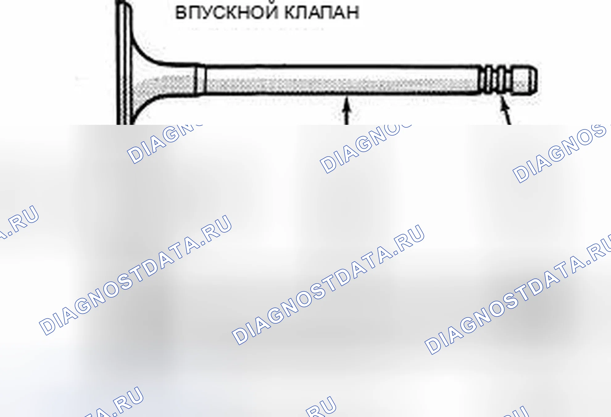 Рис. 644: КЛАПАНЫ. Dodge Journey I