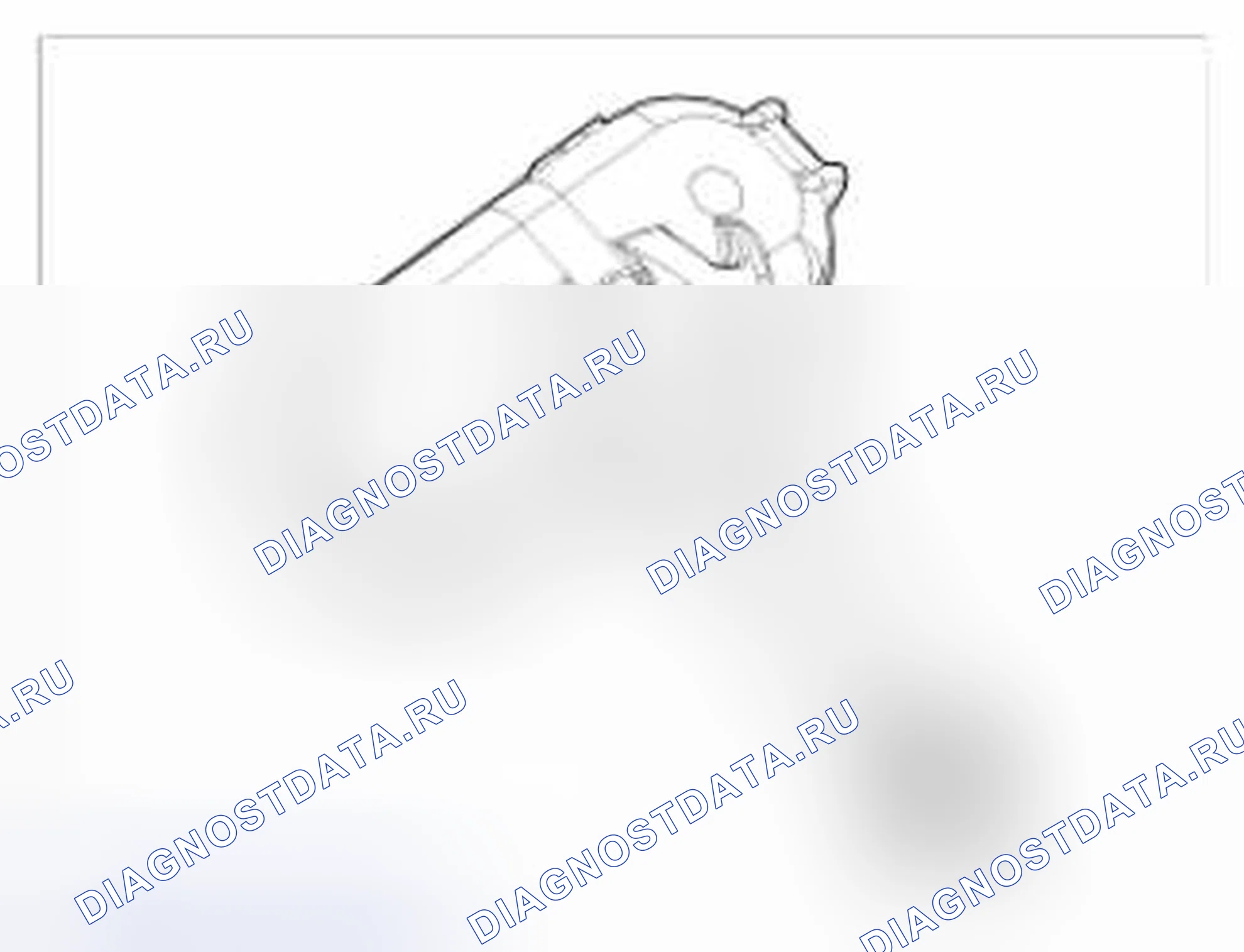 Рис. 53: Описание колёс и шин. BMW 6 серия F06/F13/F12