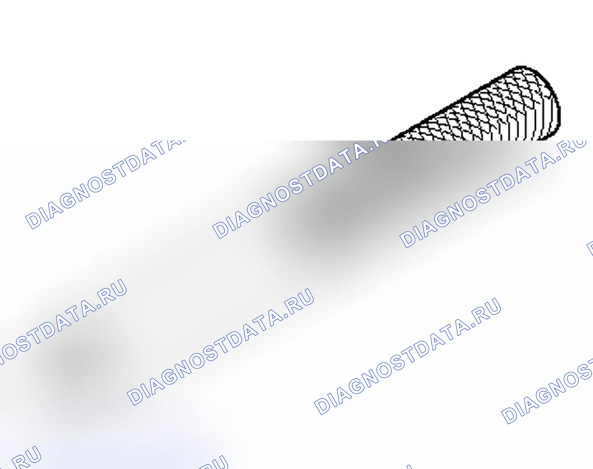 Рис. 319. Honda Envix I