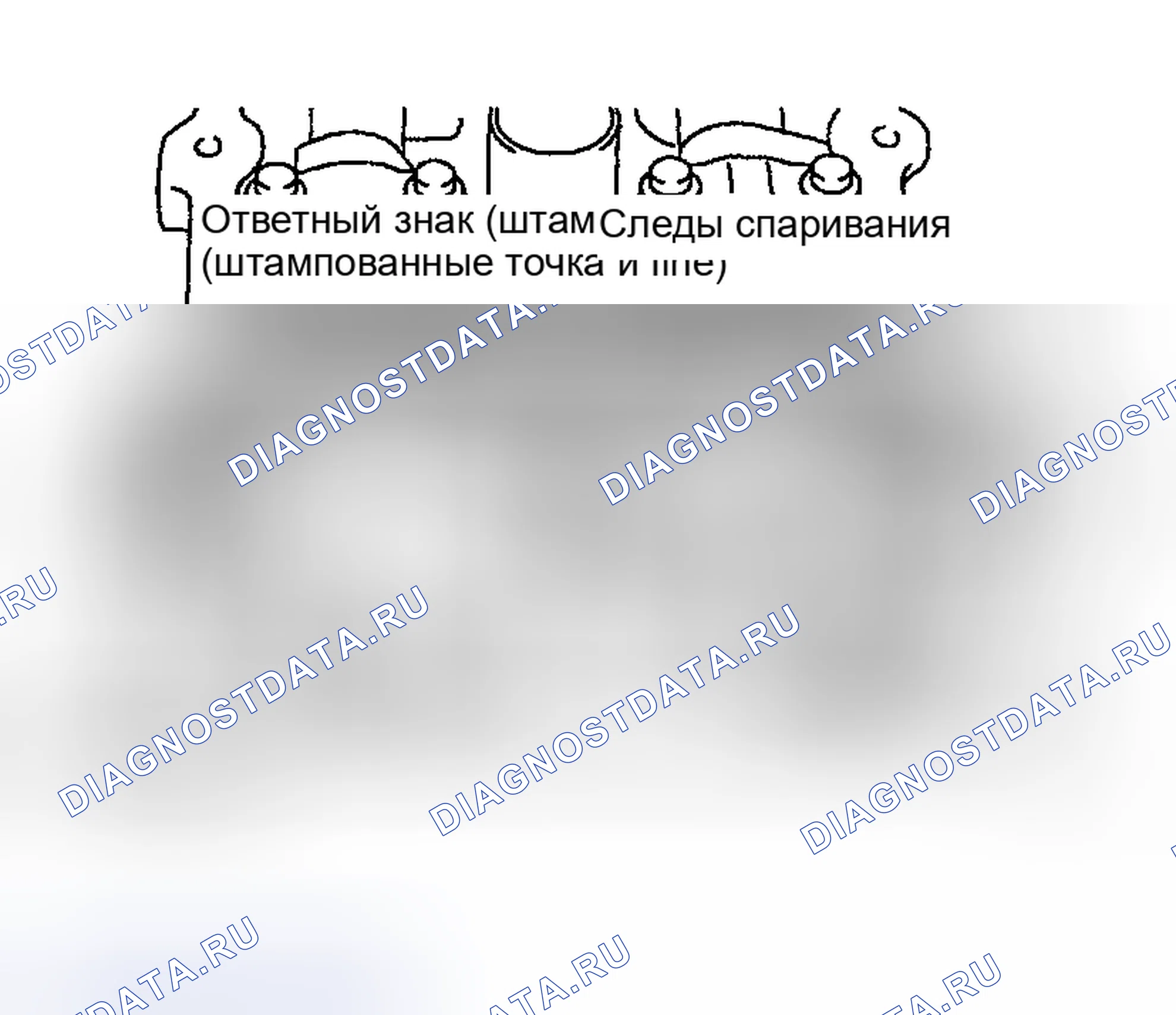 Рис. 370. Nissan Sentra B15