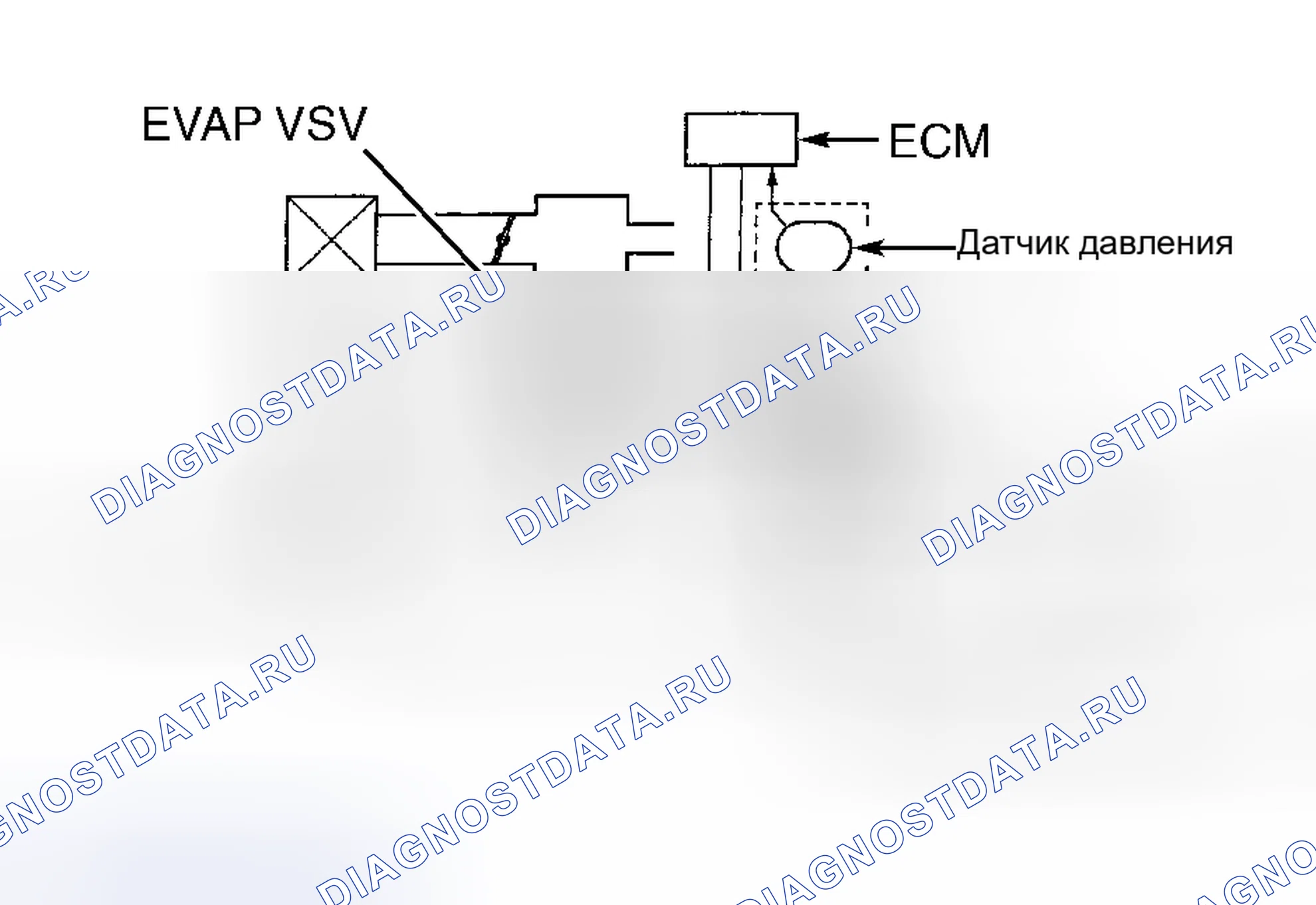 Рис. 45: Датчик давления паров (Land Cruiser, RAV4, Sienna, Tacoma, Tundra и 4Runner). Toyota Land Cruiser 100