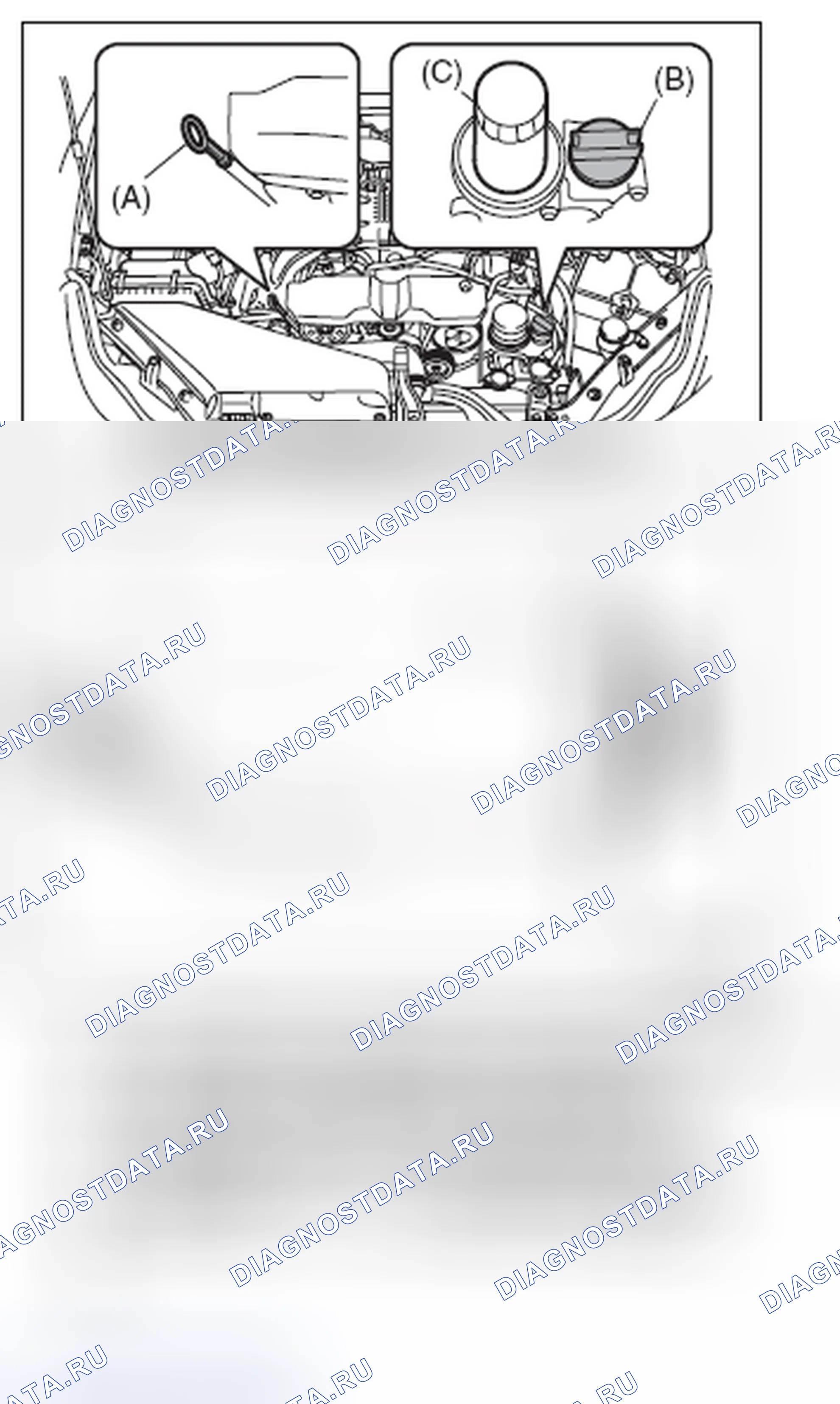 Рис. 36: МОТОРНОЕ МАСЛО. Subaru Impreza GK