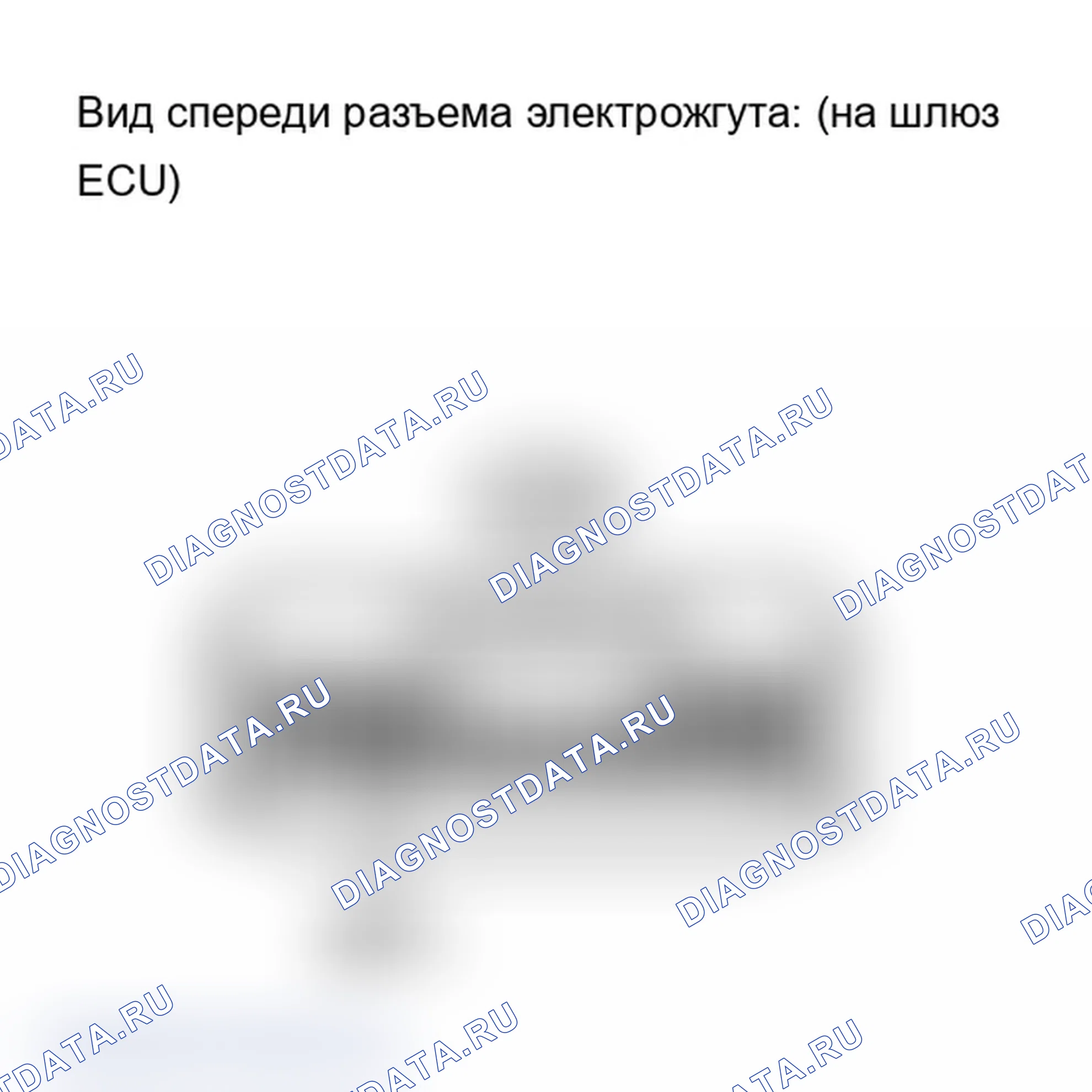Рис. 171. Lexus IS F I