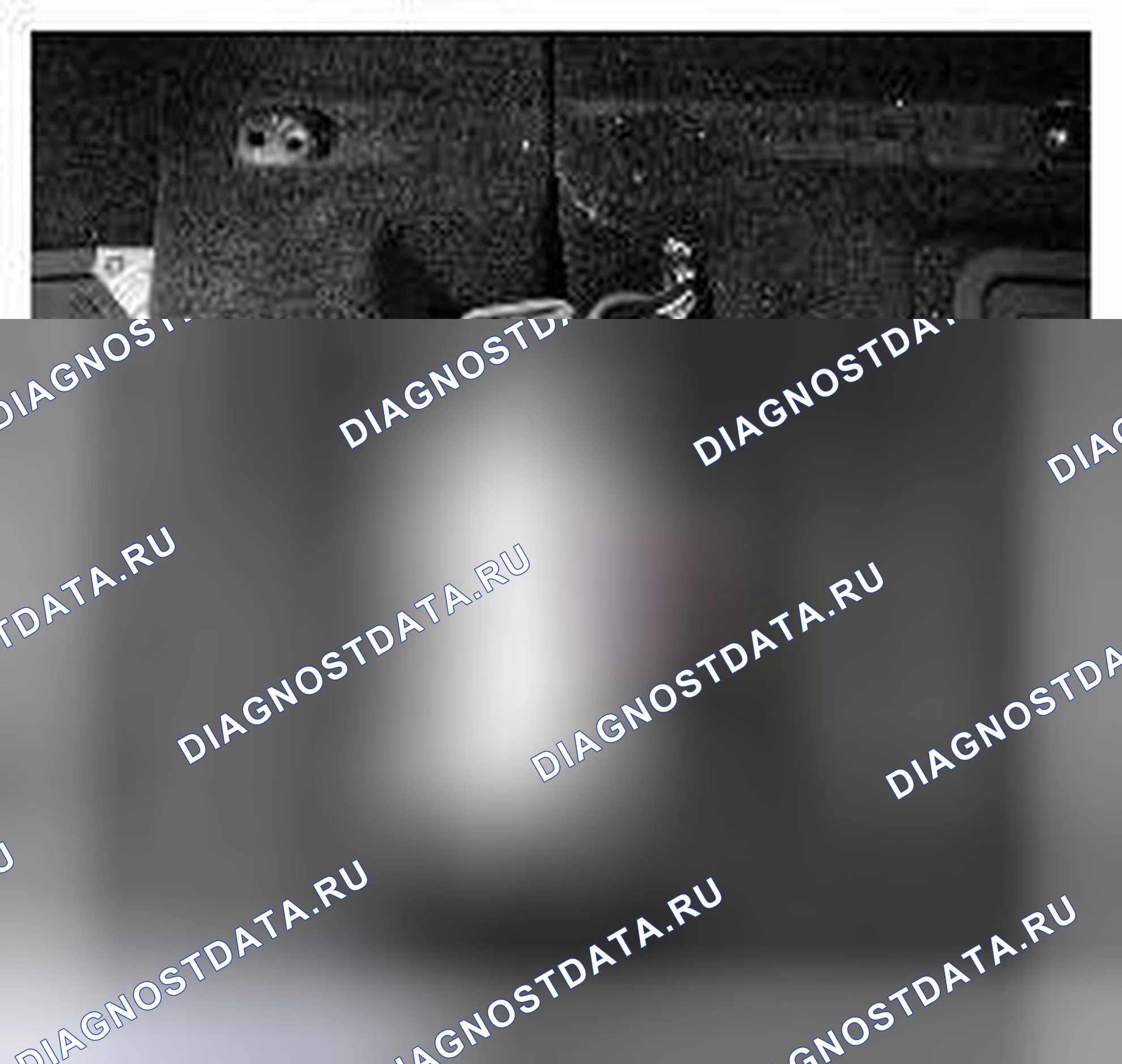 Рис. 88. Land Rover Range Rover III рестайлинг 2