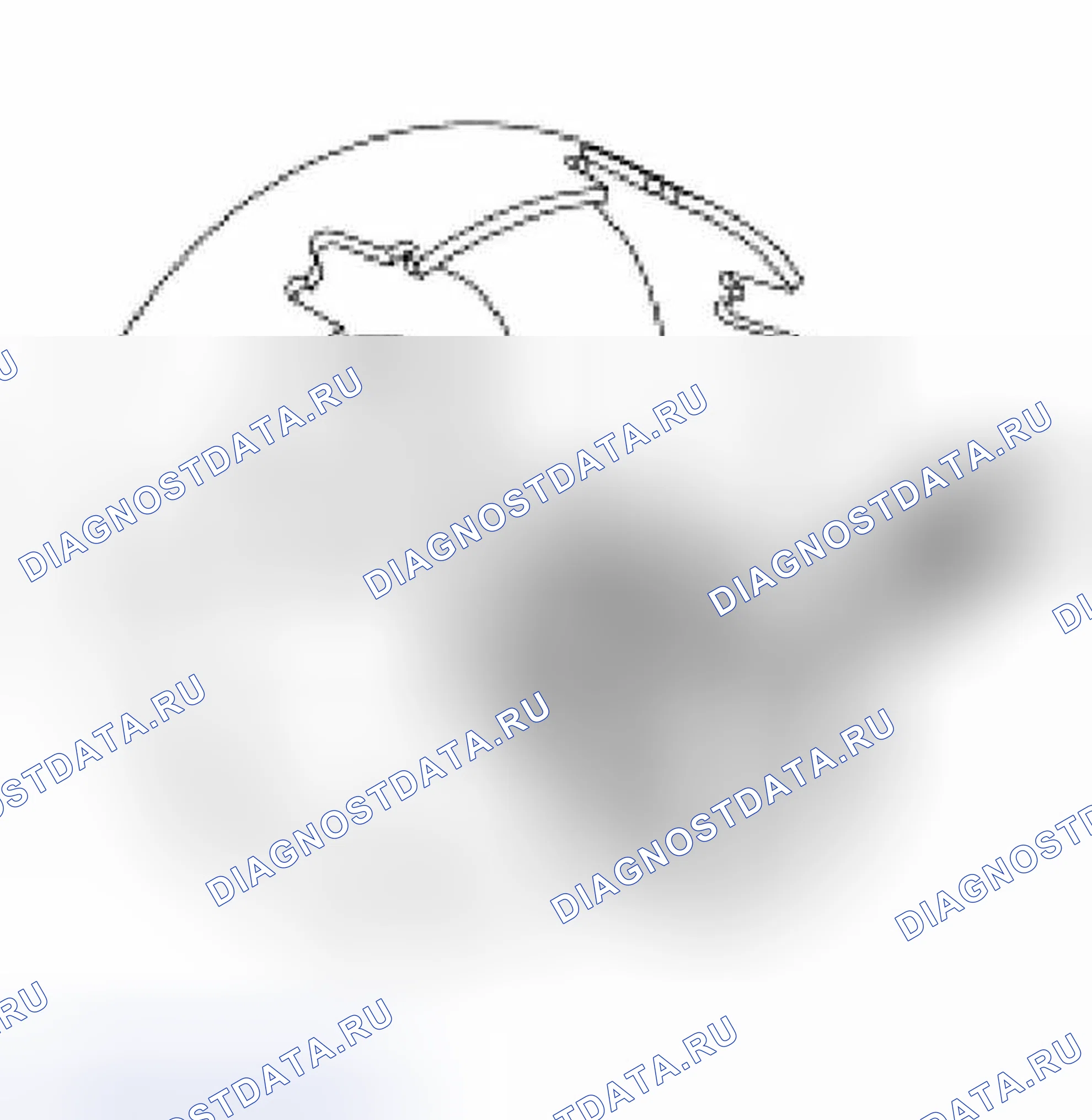 Рис. 301. Hyundai Lavita I