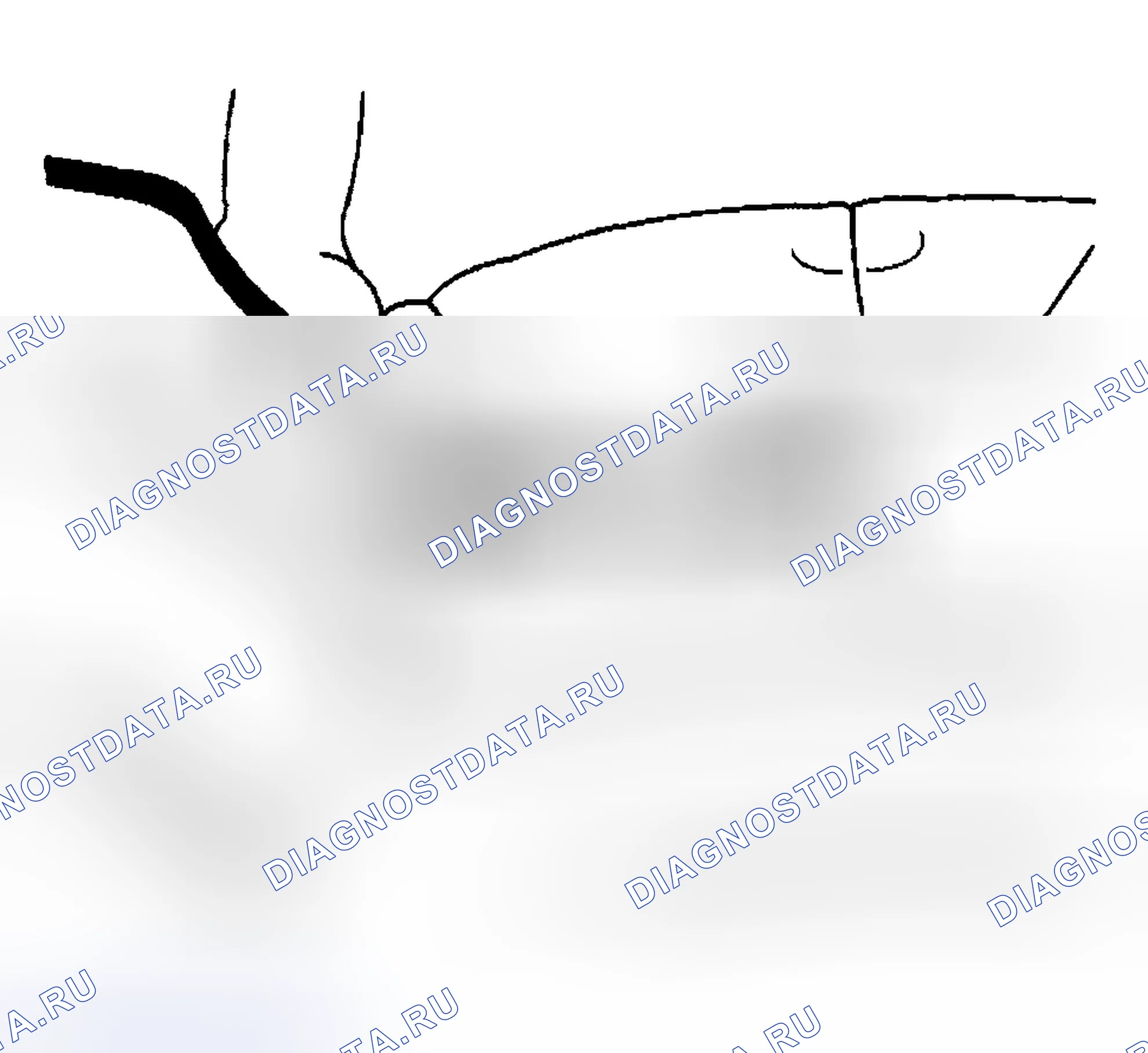 Рис. 54. Hyundai Venue I