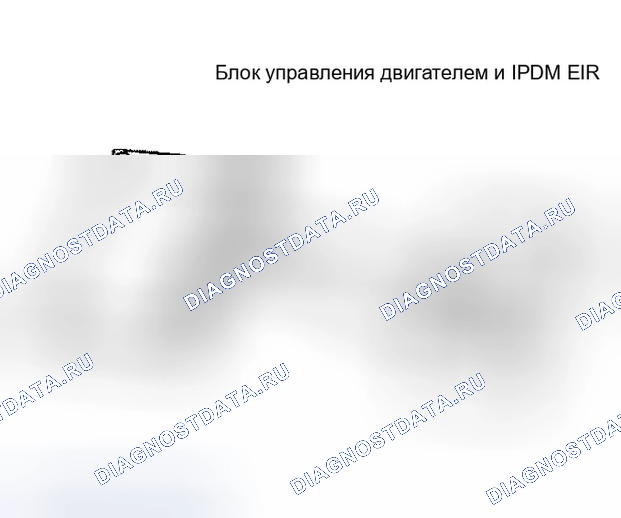 Рис. 773: ПРОВЕРКА ВНУТРЕННЕЙ ЦЕПИ блок управления двигателем / IPDM E / R. Infiniti G35 III