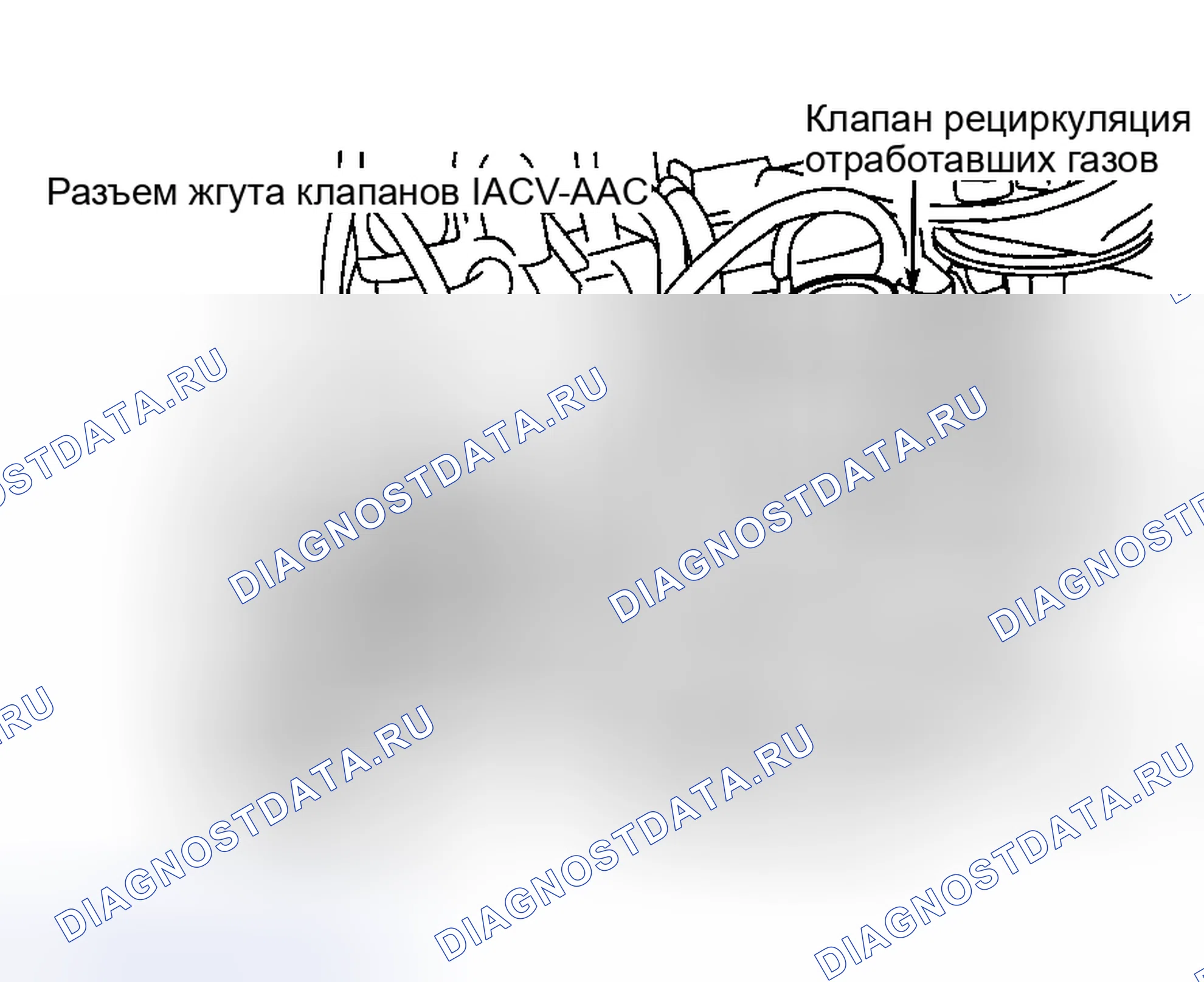 Рис. 64. Nissan Quest II