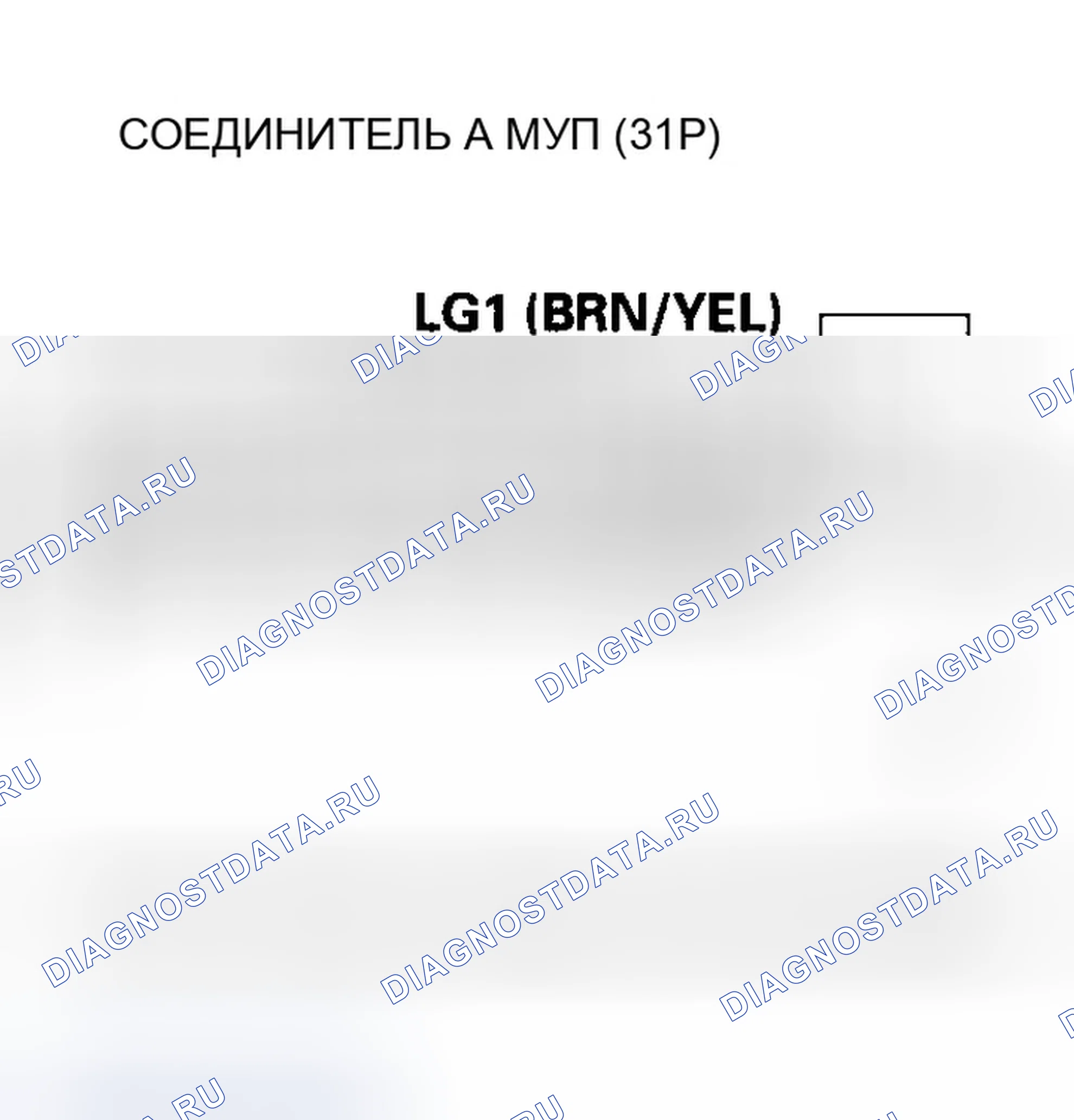 Рис. 517. Honda Accord VII рестайлинг