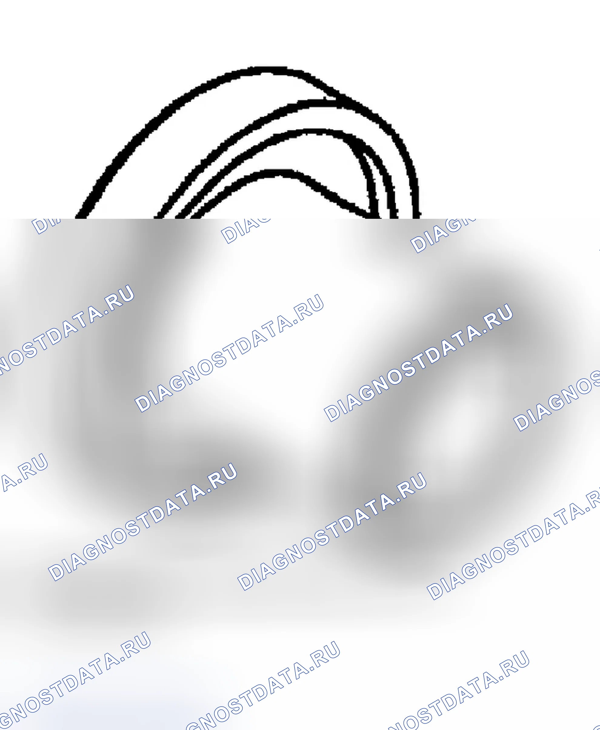Рис. 12. Chrysler Town & Country IV
