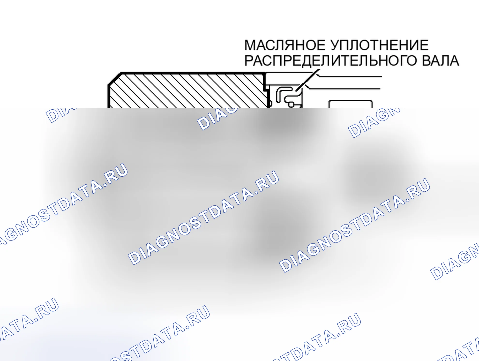 Рис. 120: >> G <<МОНТАЖ МАСЛЯНОГО УПЛОТНЕНИЯ РАСПРЕДЕЛИТЕЛЬНОГО ВАЛА. Mitsubishi Lancer Evolution IX