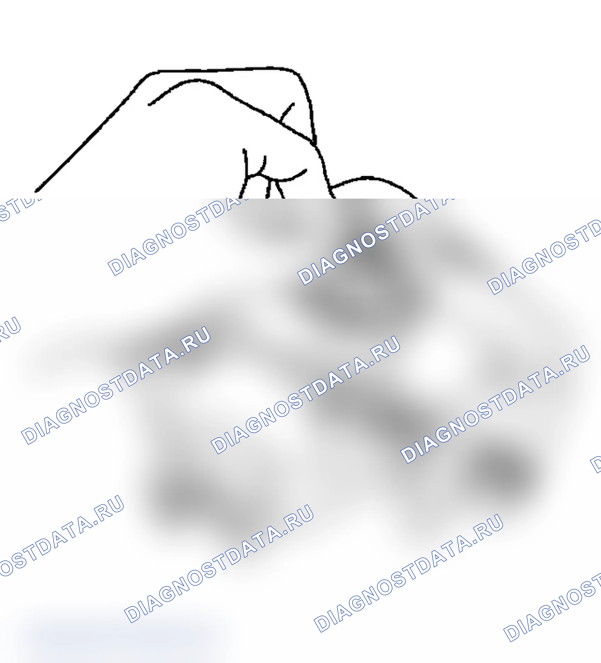 Рис. 104: С вентилируемым ротором. Subaru Impreza WRX GD/GG рестайлинг 2