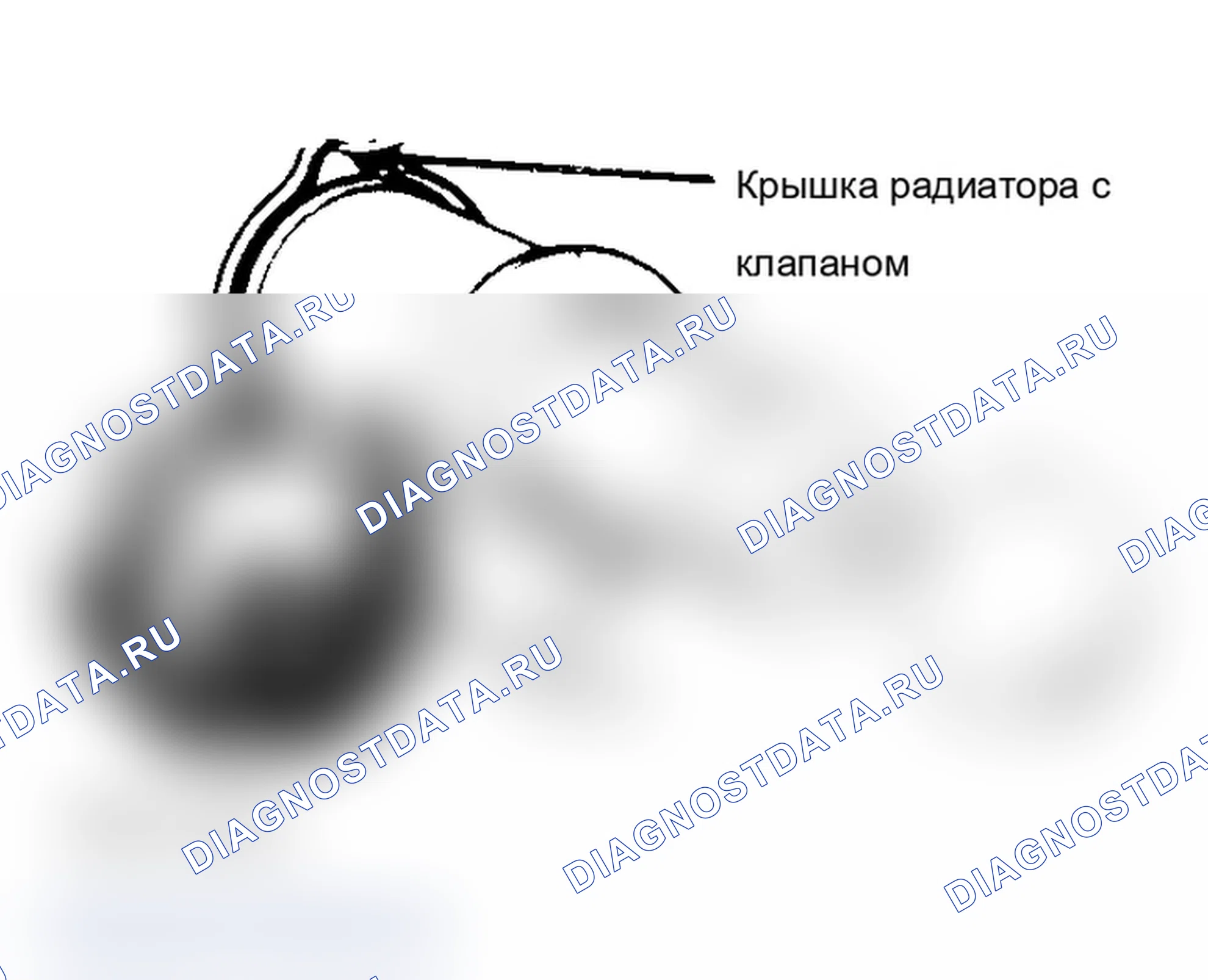 Рис. 2: крышка радиатора для испытания под давлением. BMW X5 M E70